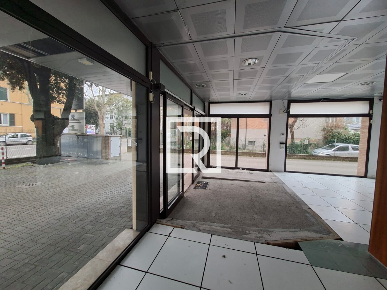 WhatsApp Image 2026-03-06 at 11.29.47 (1)