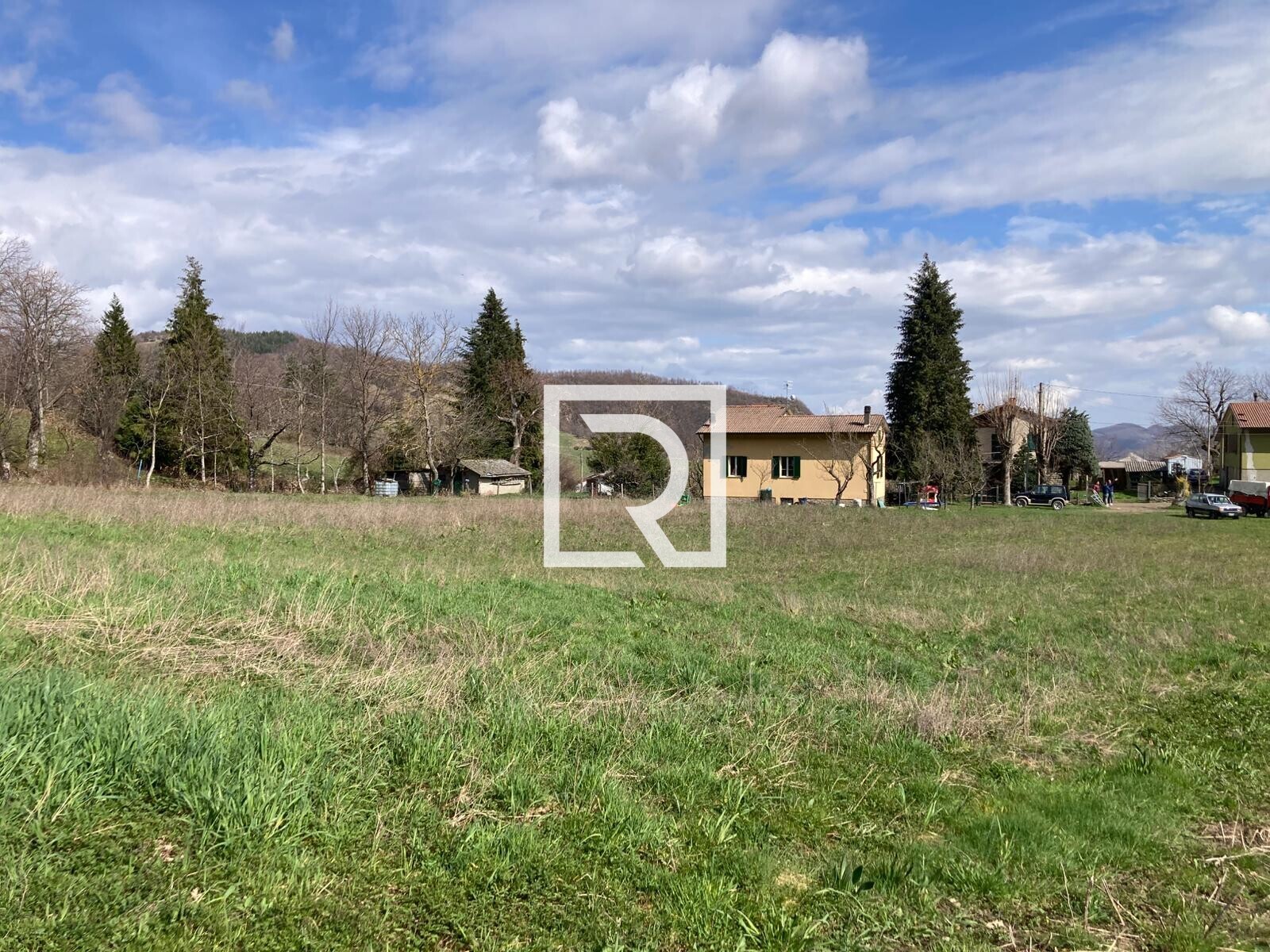 WhatsApp Image 2026-03-13 at 10.12.47 (1)