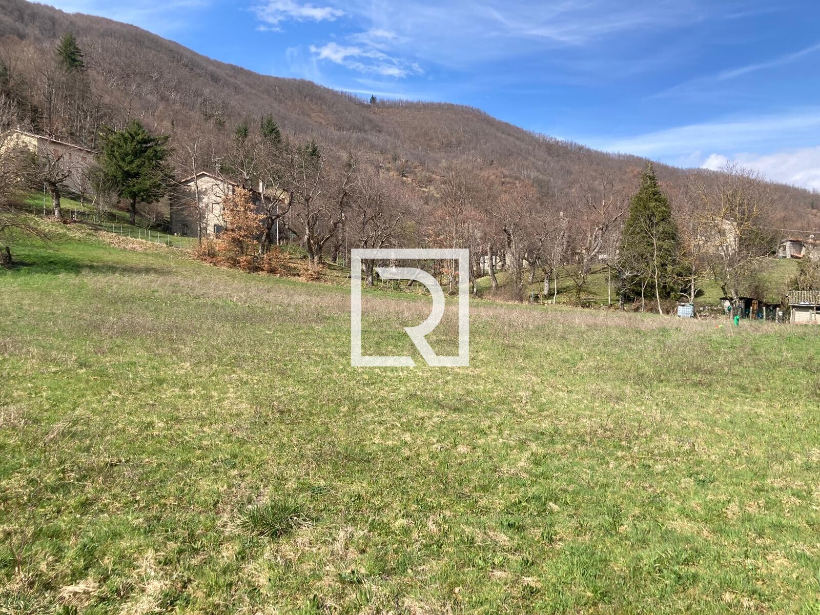 WhatsApp Image 2026-03-13 at 10.12.48 (1)