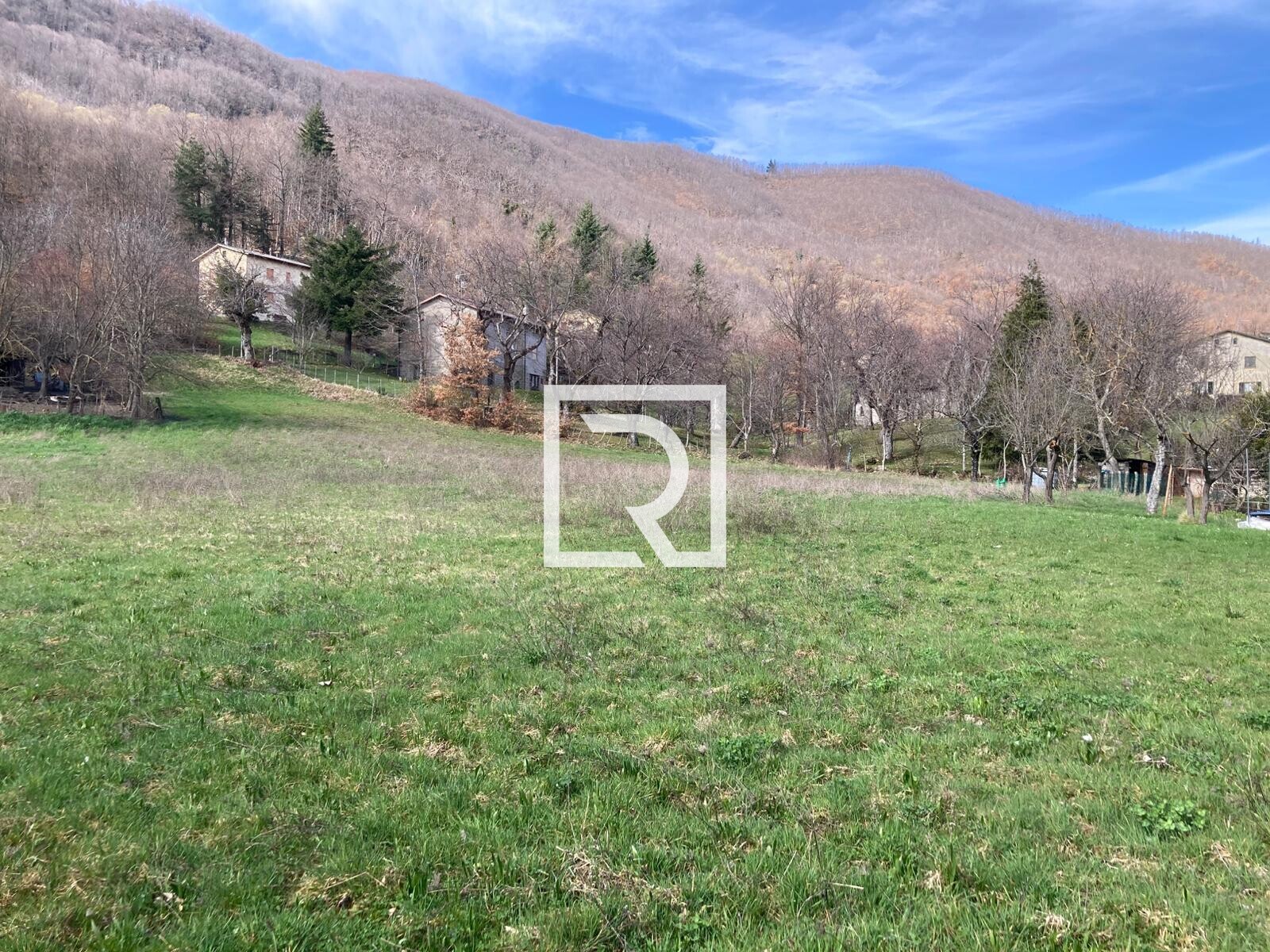 WhatsApp Image 2026-03-13 at 10.12.59 (1)