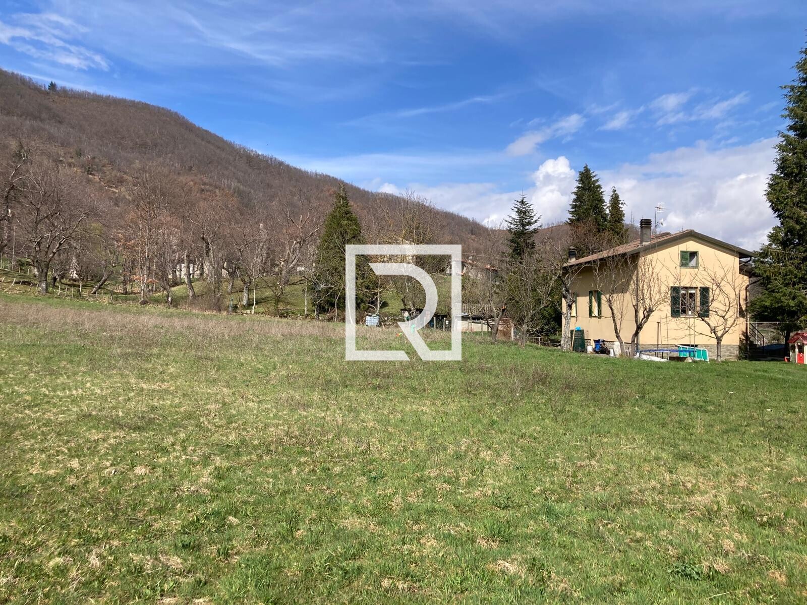 WhatsApp Image 2026-03-13 at 10.12.48 (2)