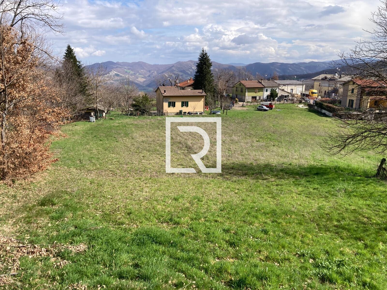 WhatsApp Image 2026-03-13 at 10.12.41