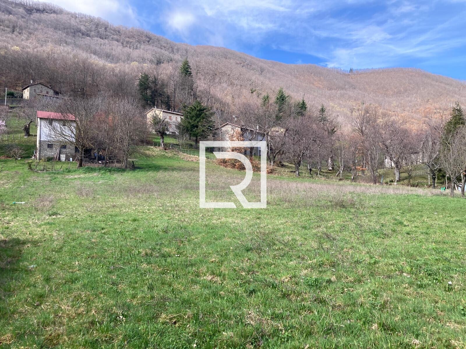 WhatsApp Image 2026-03-13 at 10.12.59 (2)