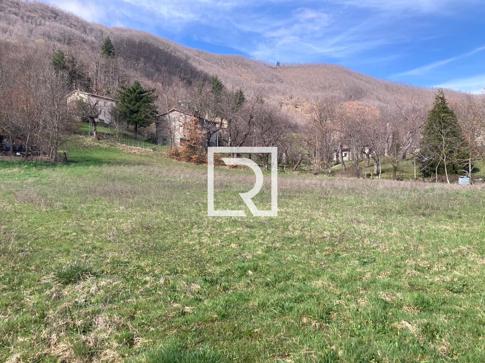 WhatsApp Image 2026-03-13 at 10.13.00