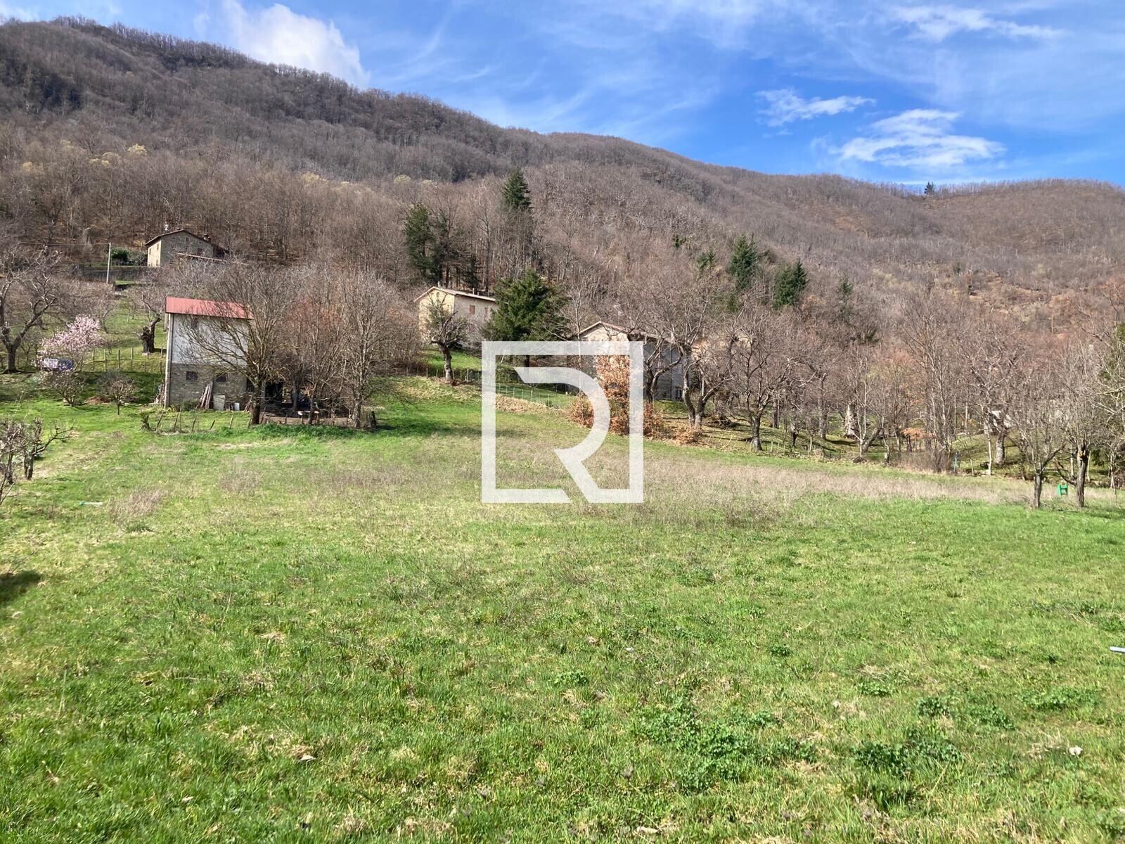 WhatsApp Image 2026-03-13 at 10.12.48 (3)