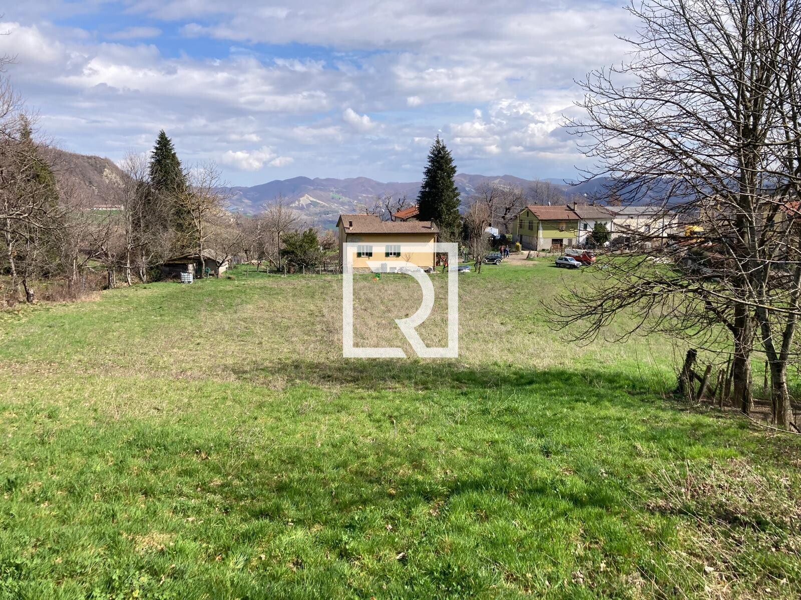 WhatsApp Image 2026-03-13 at 10.12.47