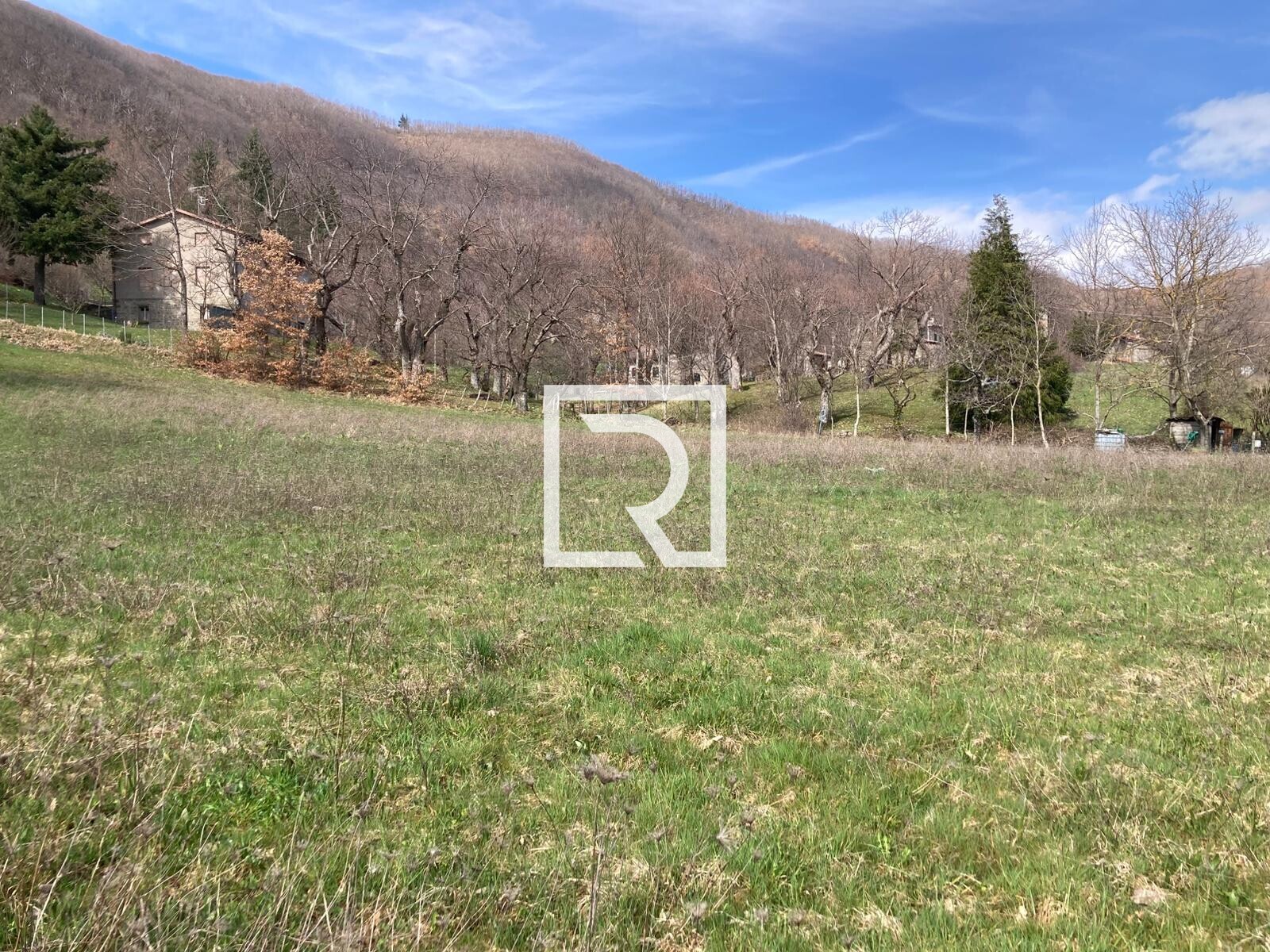 WhatsApp Image 2026-03-13 at 10.13.00 (1)