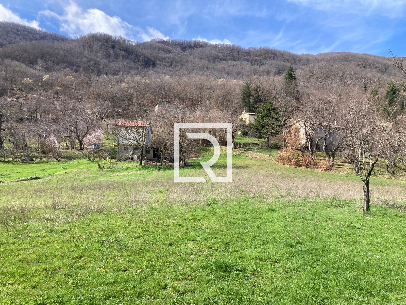 WhatsApp Image 2026-03-13 at 10.12.48 (6)