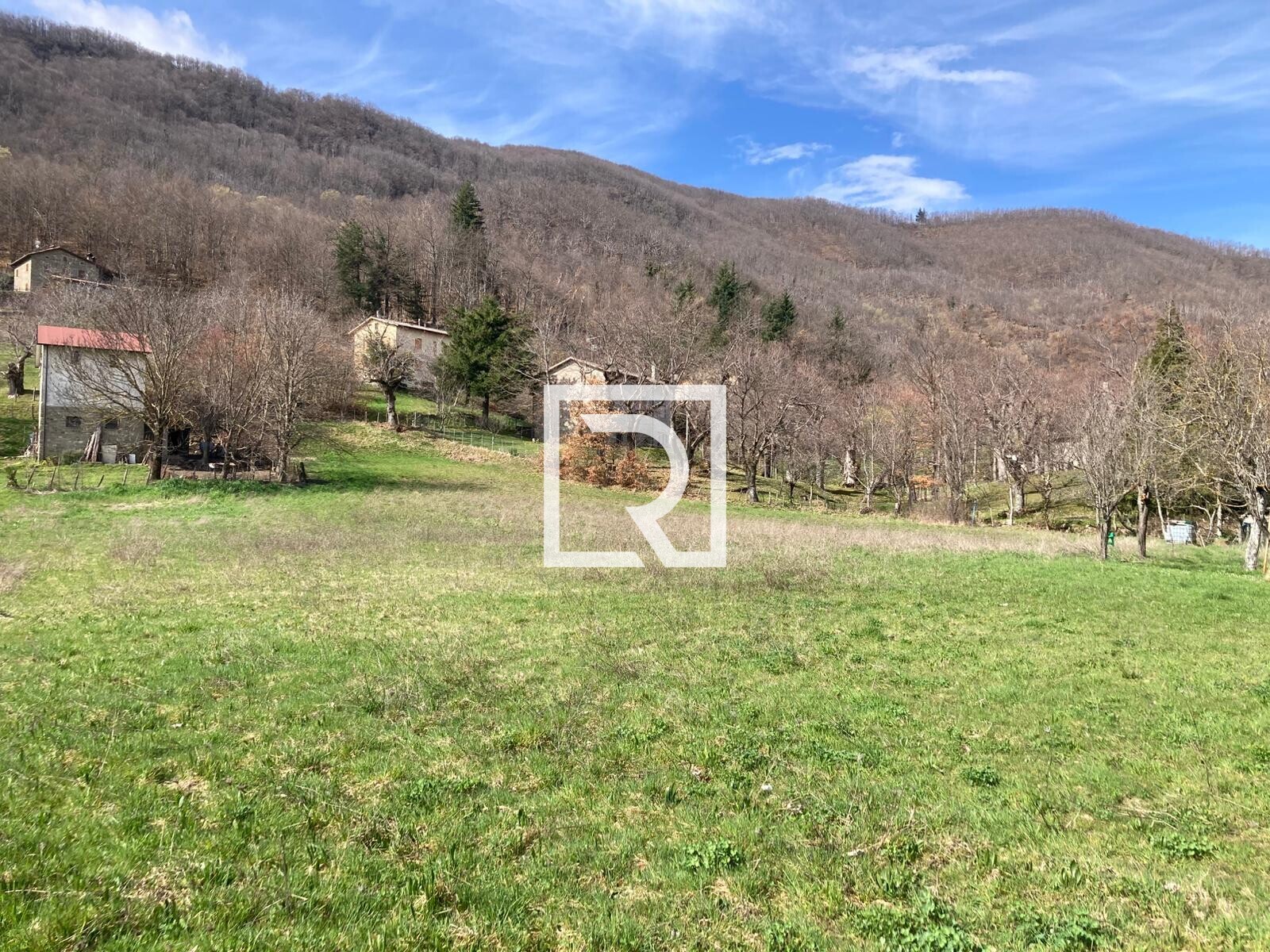 WhatsApp Image 2026-03-13 at 10.12.48 (5)