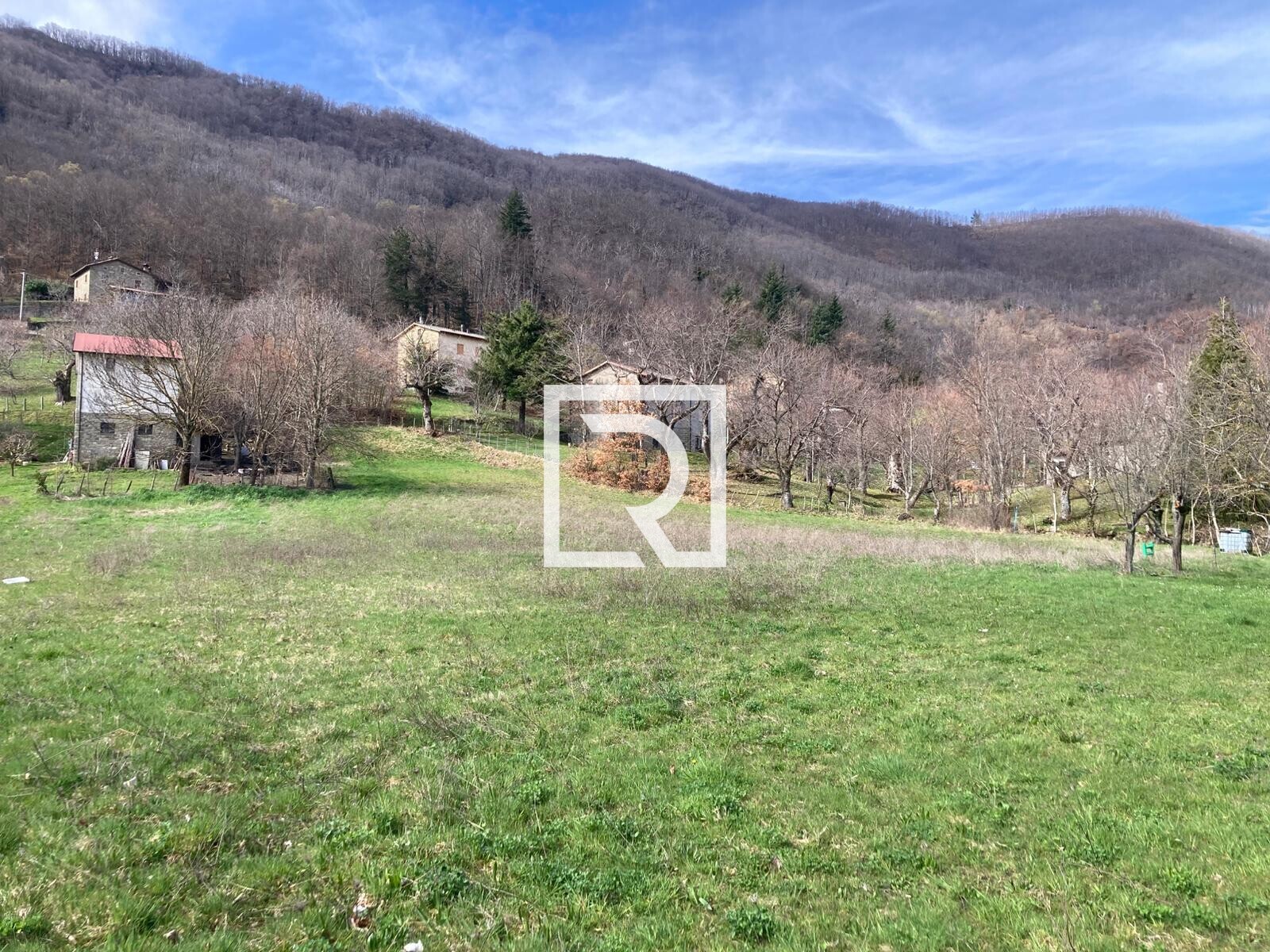 WhatsApp Image 2026-03-13 at 10.14.16