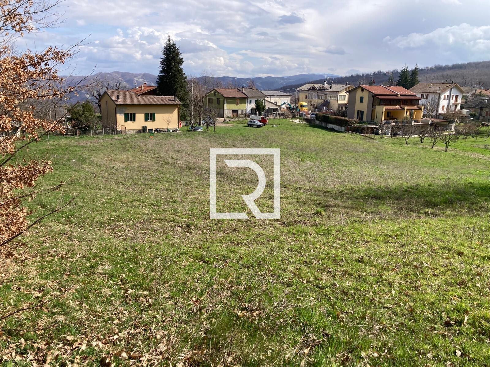 WhatsApp Image 2026-03-13 at 10.12.39 (1)