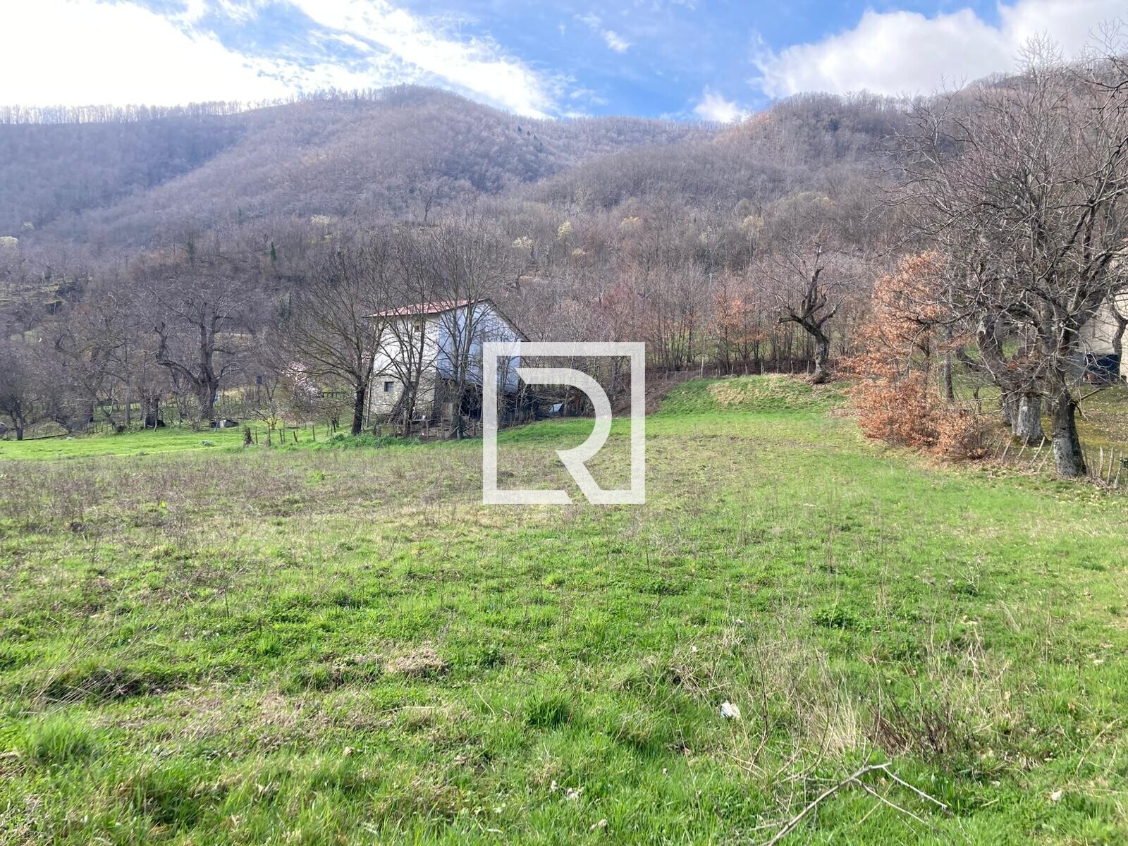 WhatsApp Image 2026-03-13 at 10.13.53 (2)