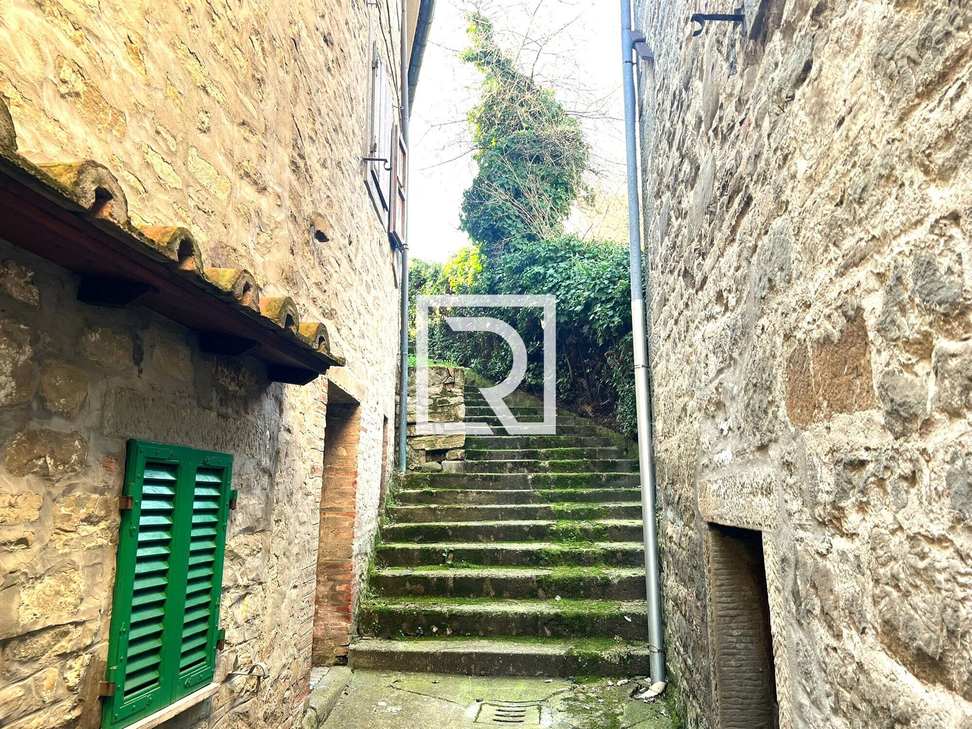 WhatsApp Image 2026-03-10 at 12.37.36 (16)