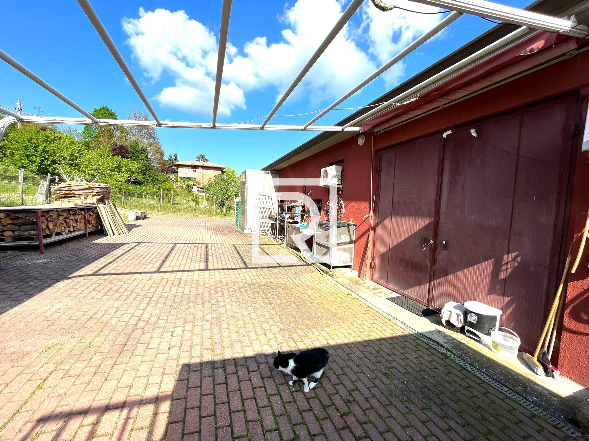 5eadcf31-0dd6-4482-a55f-b63757824906