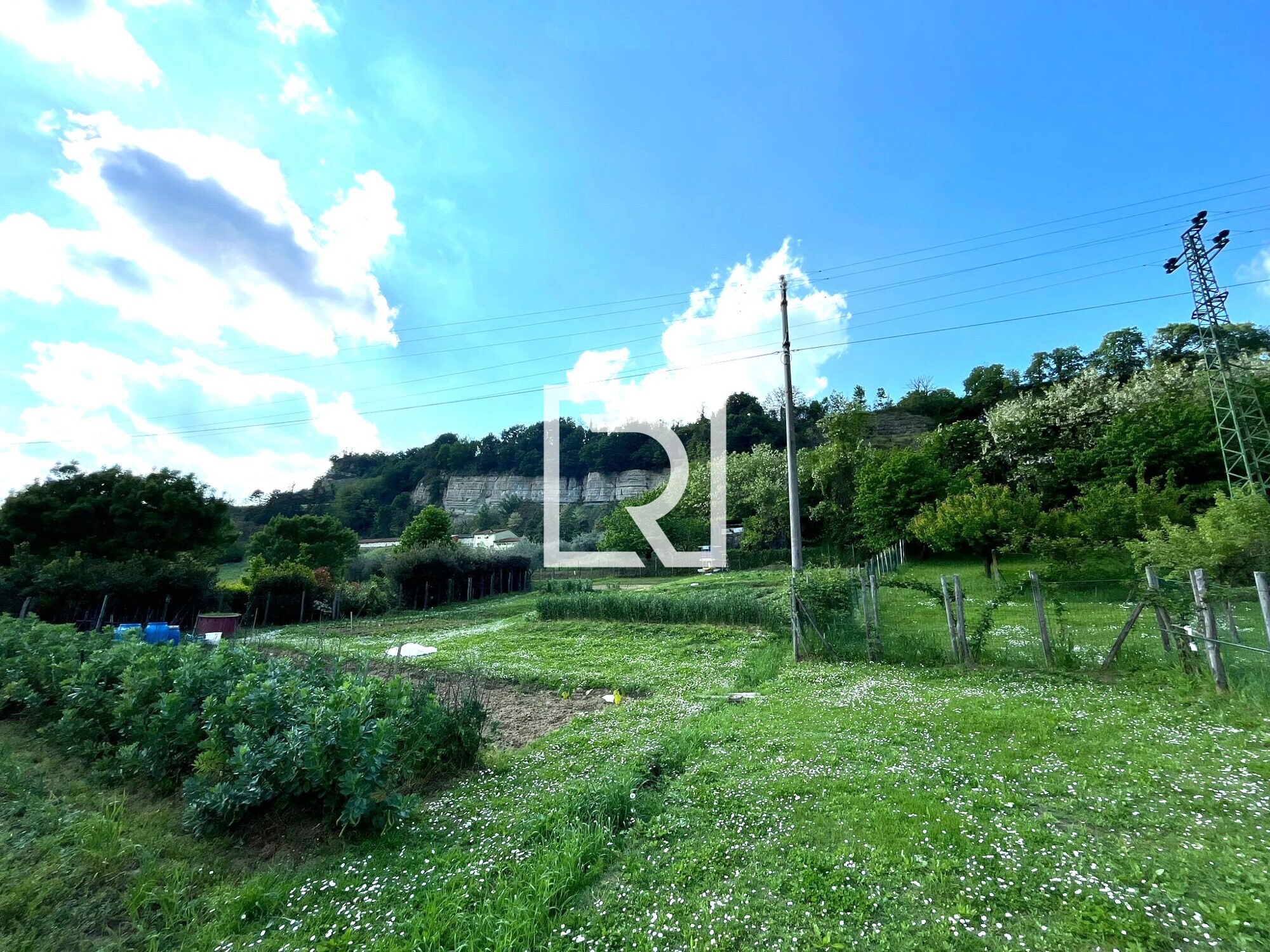 60288164-1482-4553-bd90-556ca939600a