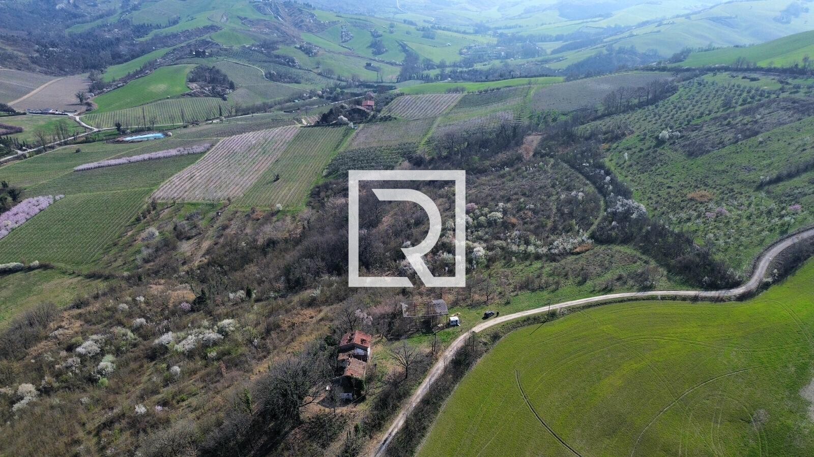 WhatsApp Image 2026-03-10 at 15.53.37