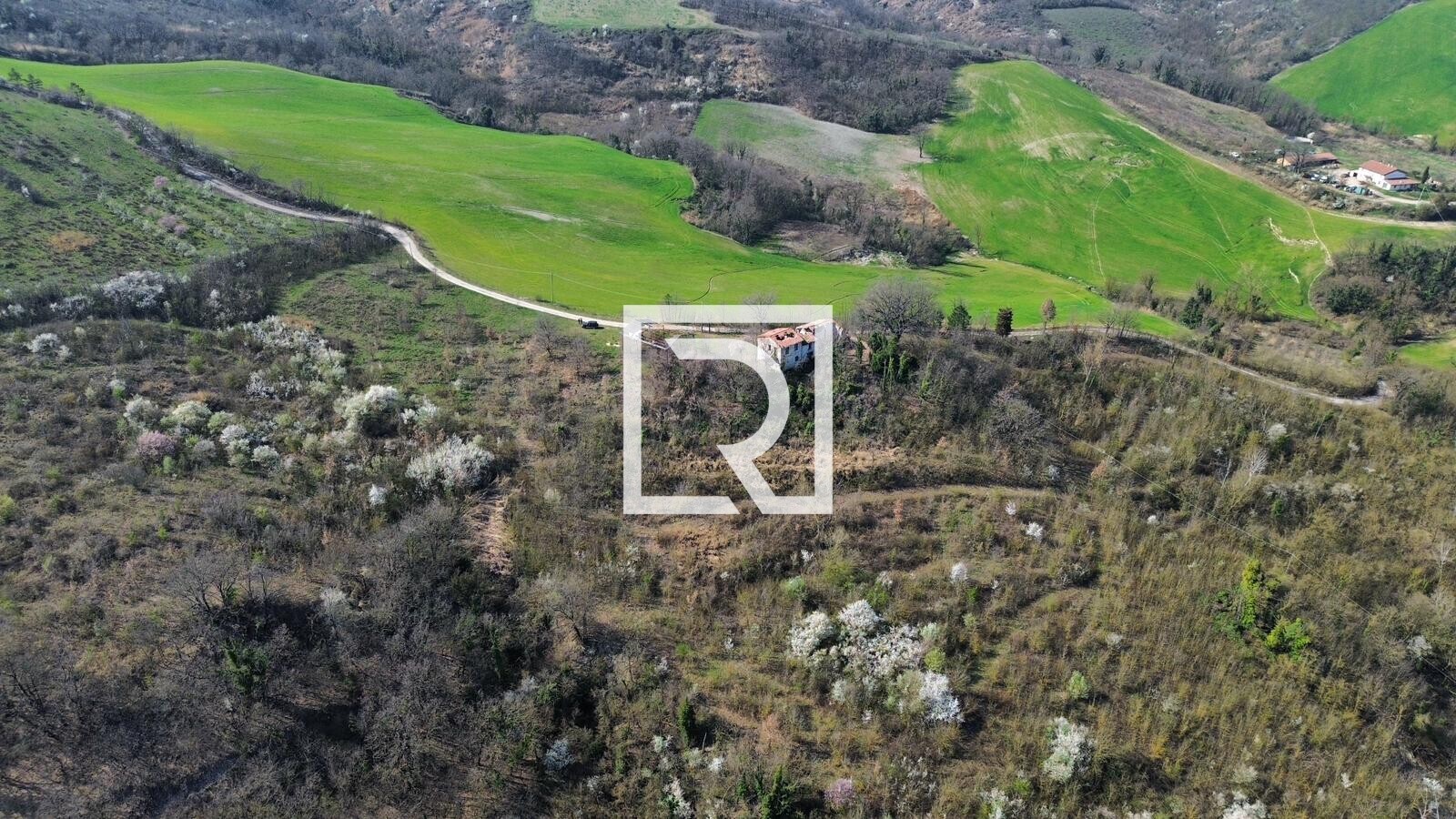 WhatsApp Image 2026-03-10 at 15.53.40