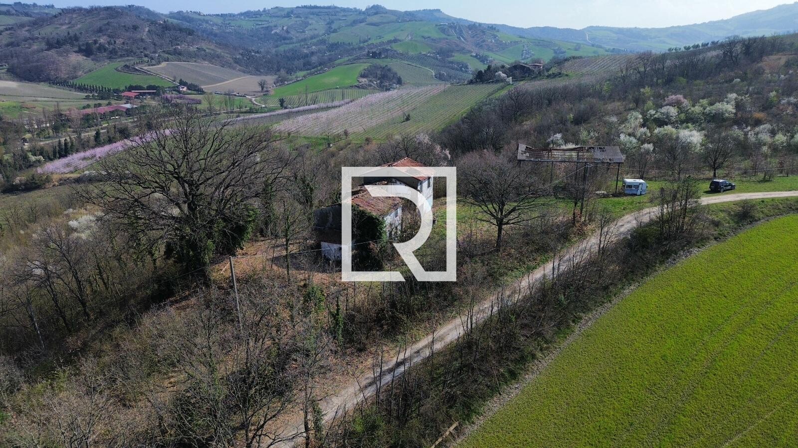 WhatsApp Image 2026-03-10 at 15.53.33