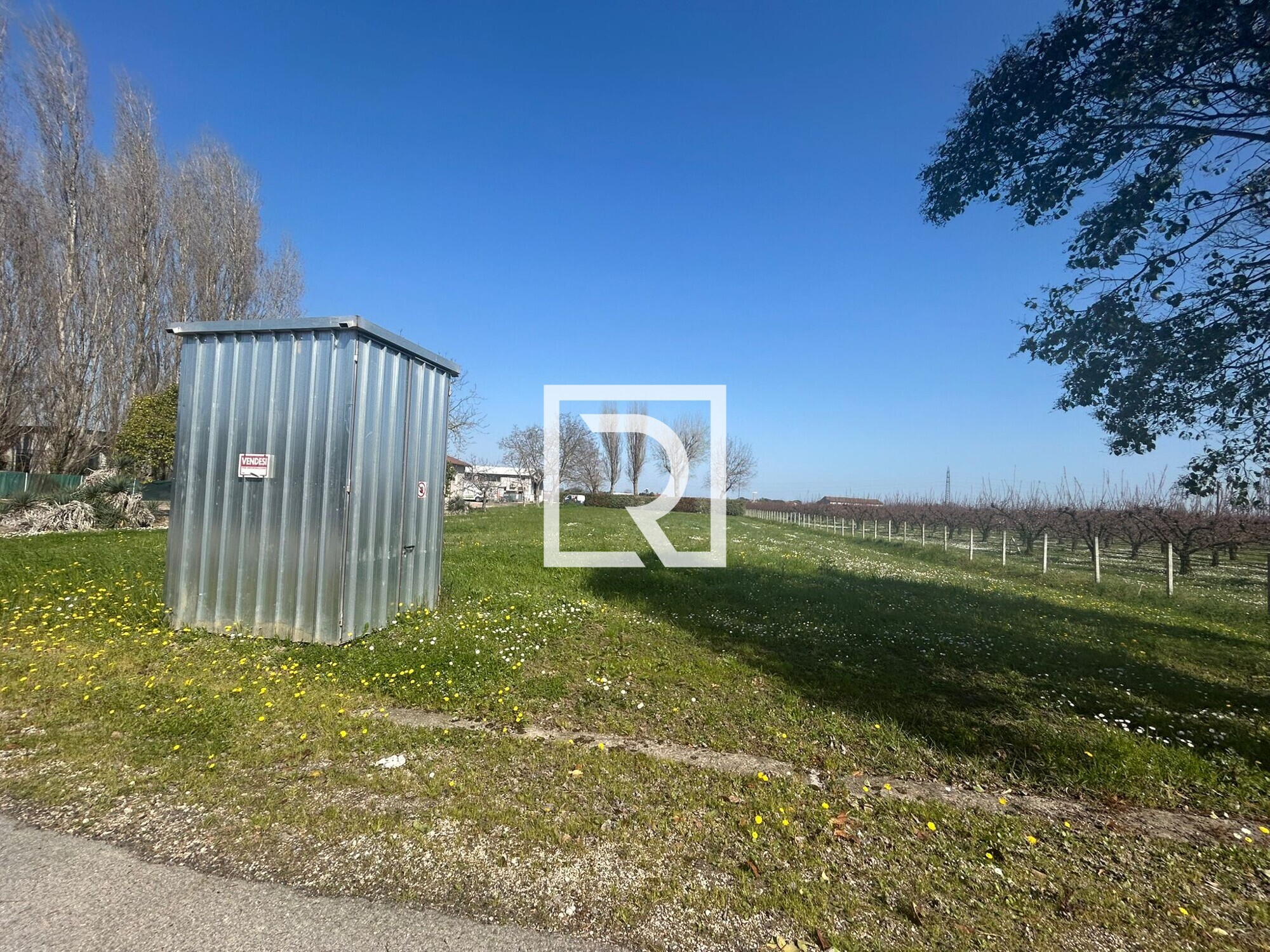 WhatsApp Image 2026-03-19 at 12.18.07 (2)