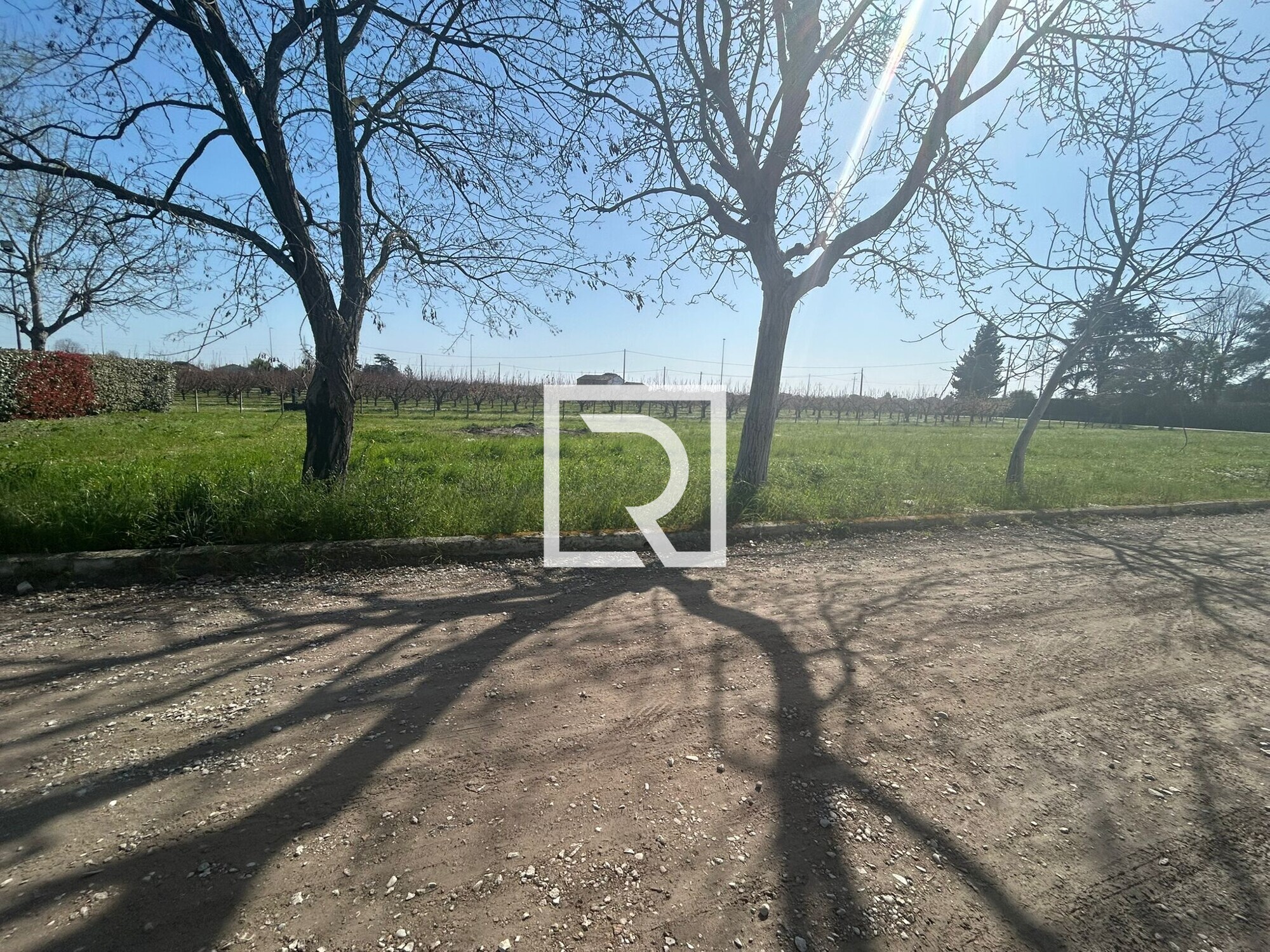 WhatsApp Image 2026-03-19 at 12.18.06 (2)