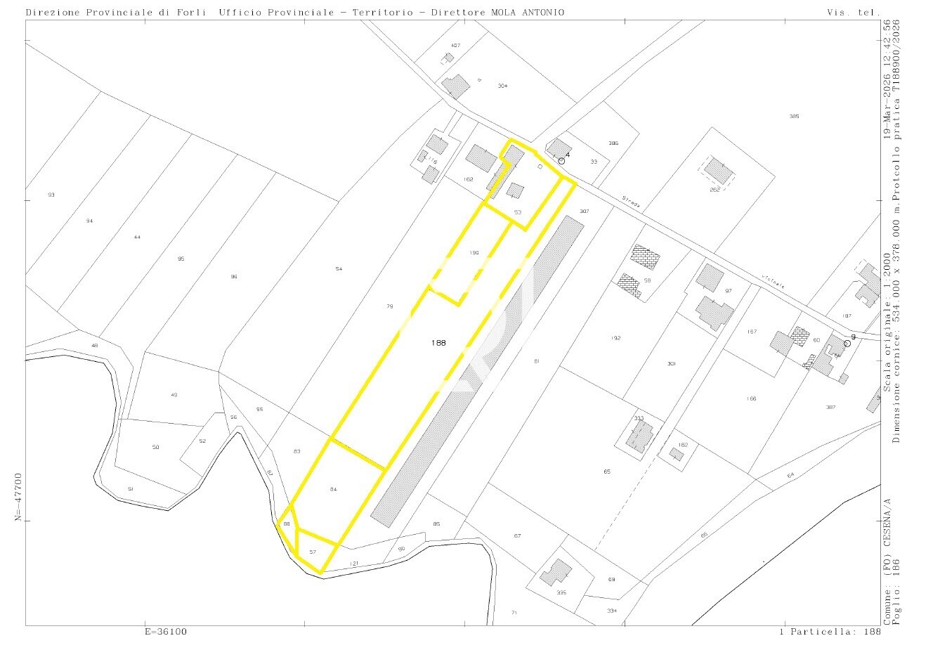 WhatsApp Image 2026-03-19 at 12.50.37