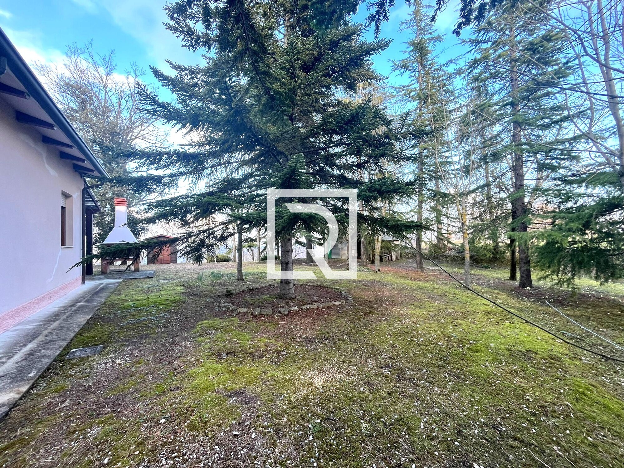 WhatsApp Image 2026-03-18 at 16.31.07 (2)