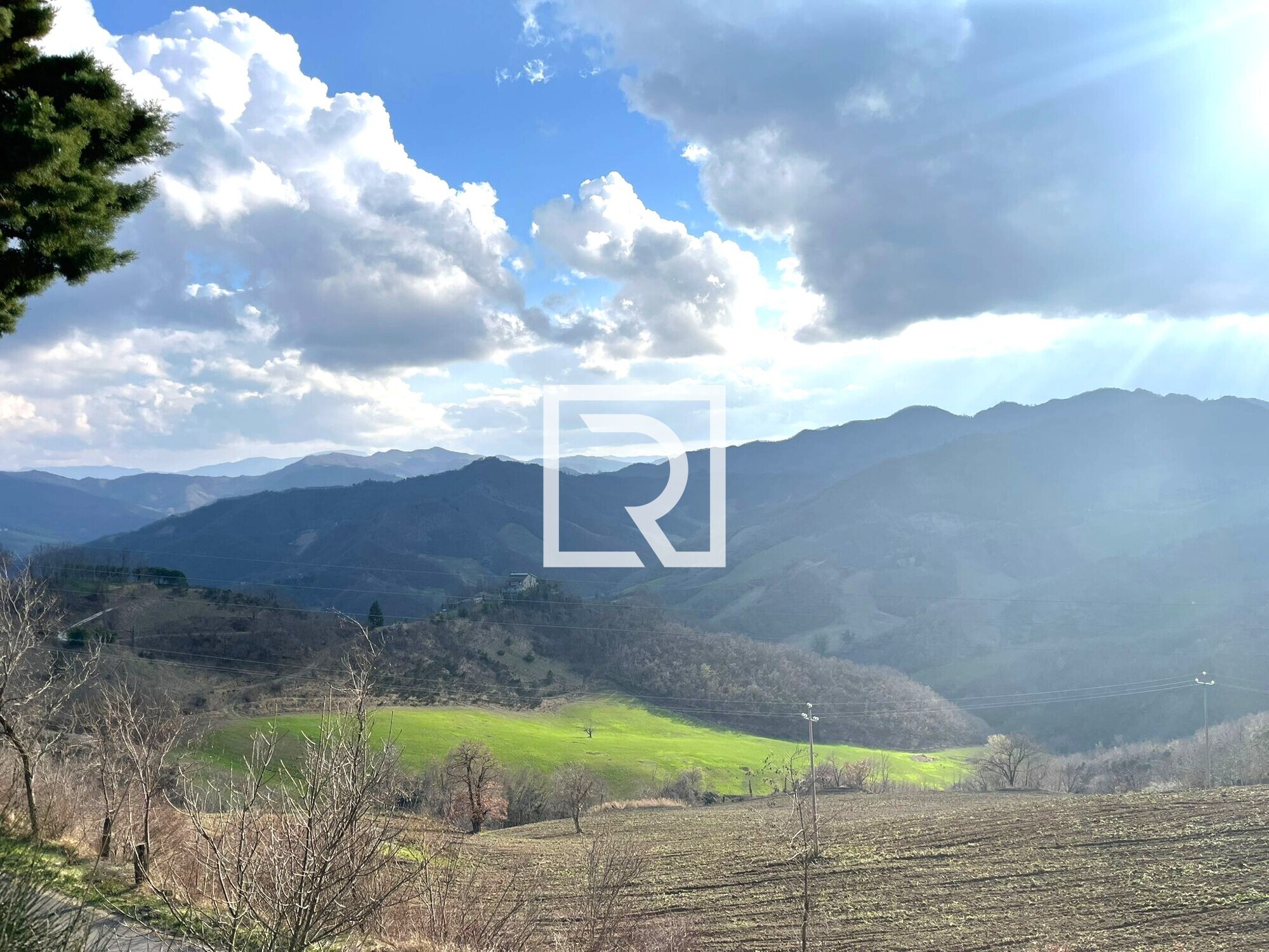 WhatsApp Image 2026-03-18 at 16.31.01 (1)