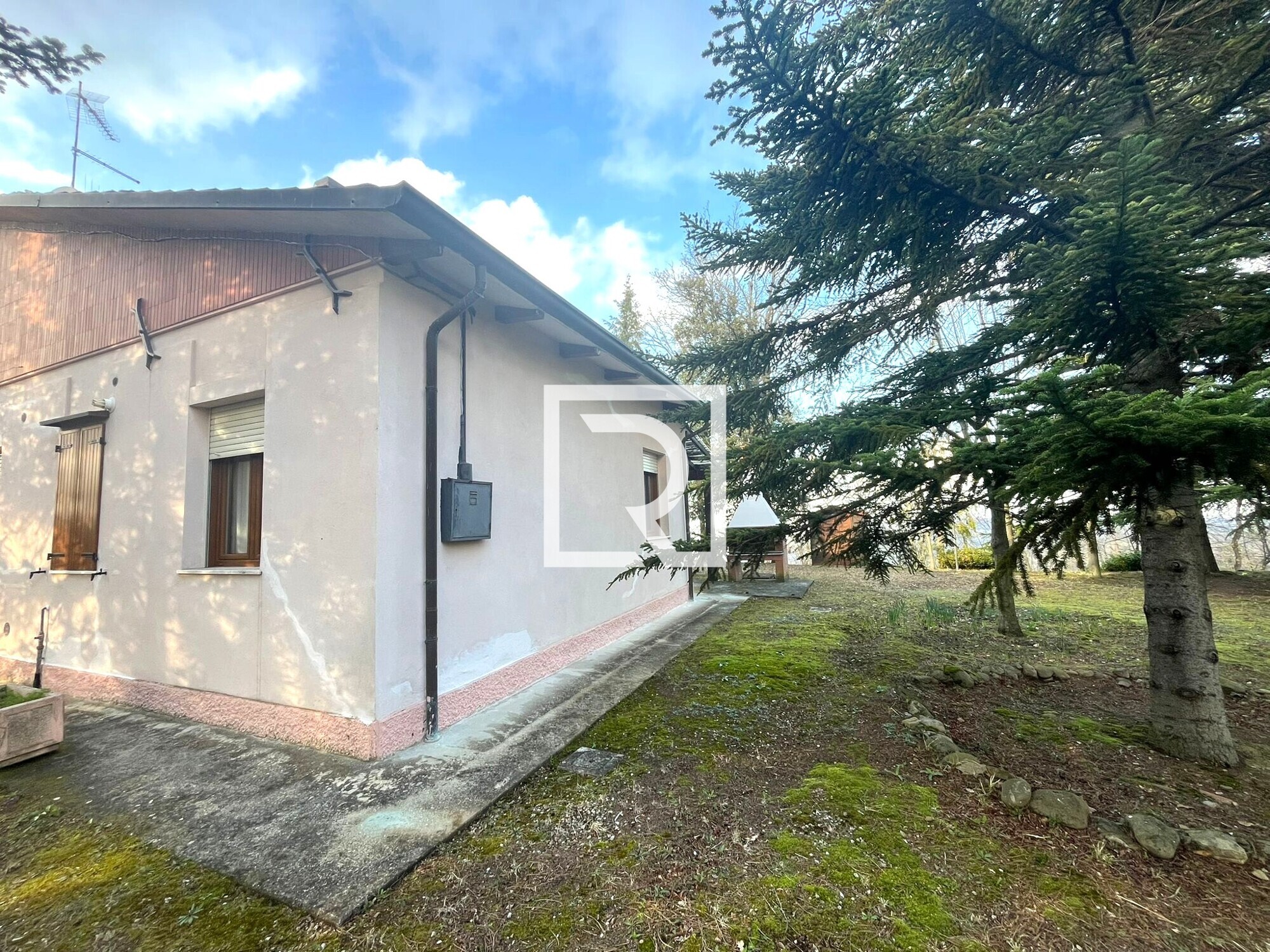 WhatsApp Image 2026-03-18 at 16.31.07 (1)