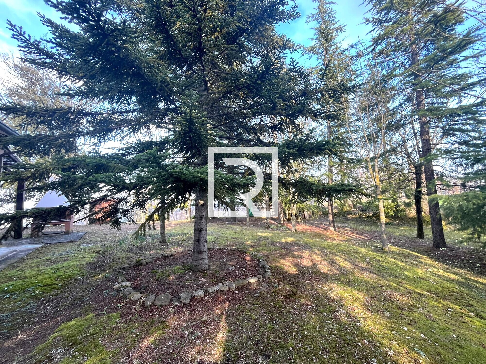 WhatsApp Image 2026-03-18 at 16.31.07