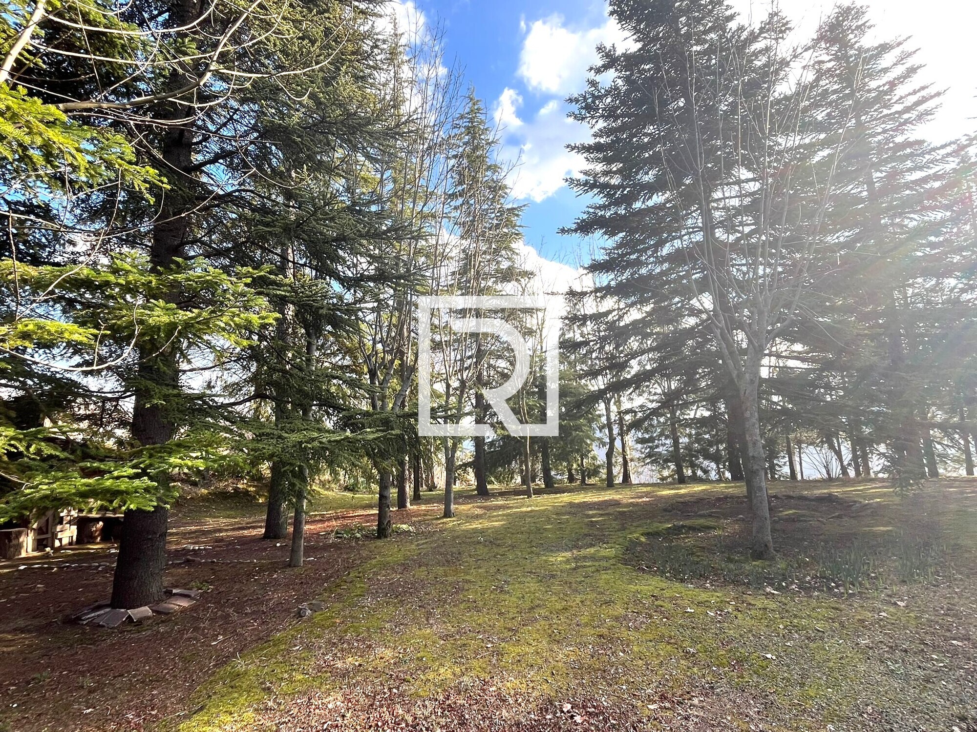 WhatsApp Image 2026-03-18 at 16.31.05 (1)