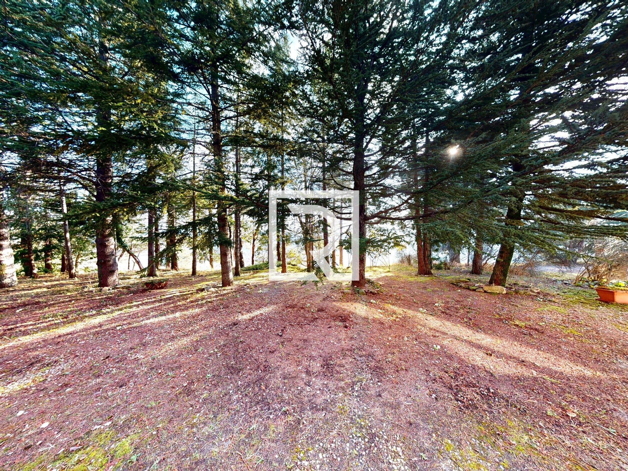 Casa-Indipendente-A-Seguno-03202026_100846