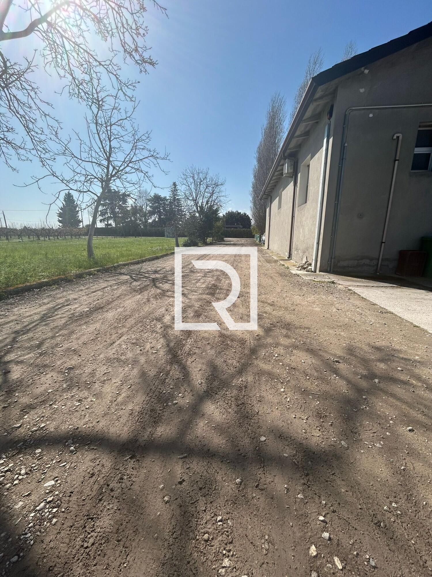 WhatsApp Image 2026-03-19 at 12.18.04 (3)