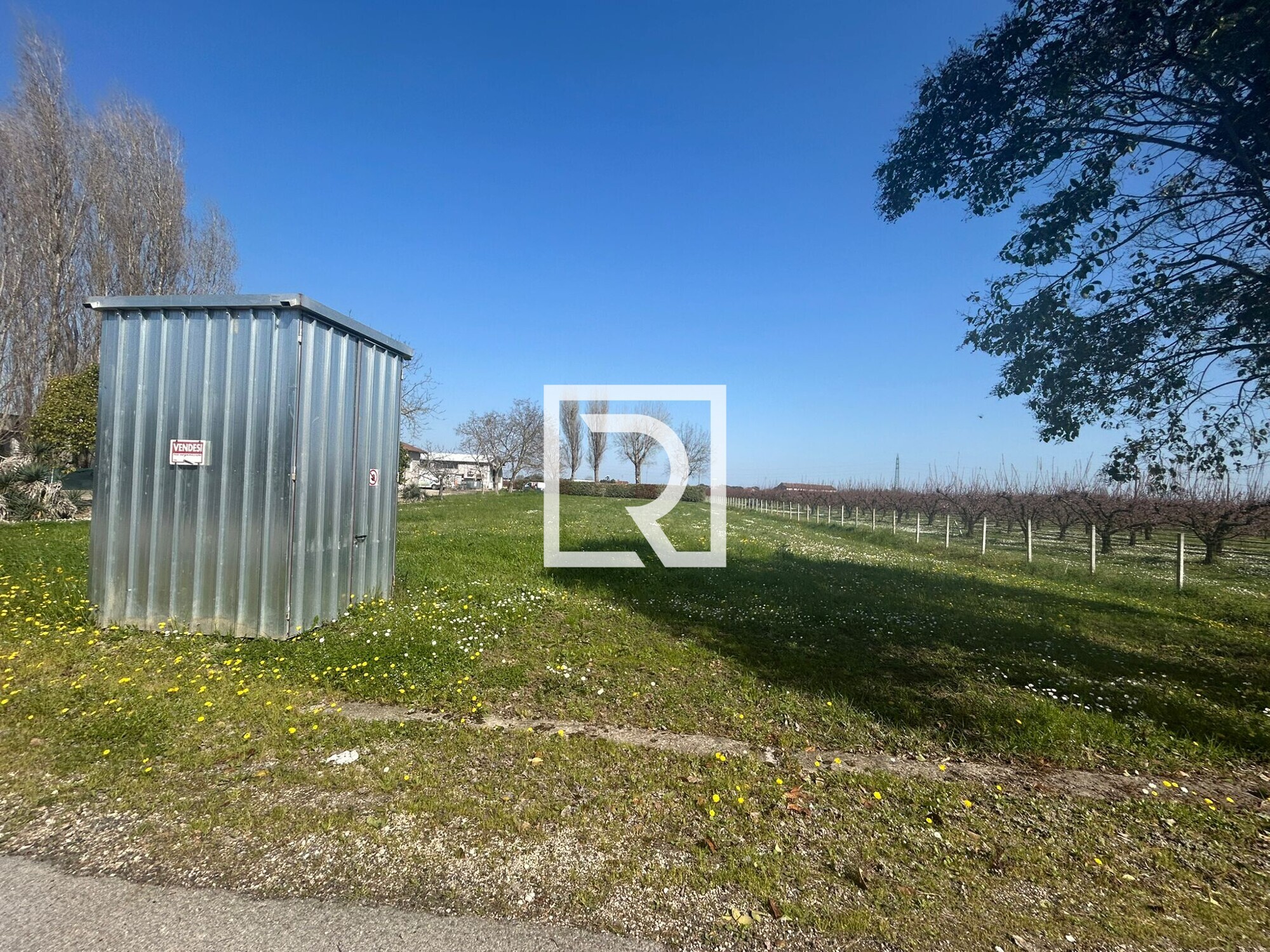 WhatsApp Image 2026-03-19 at 12.18.07 (1)