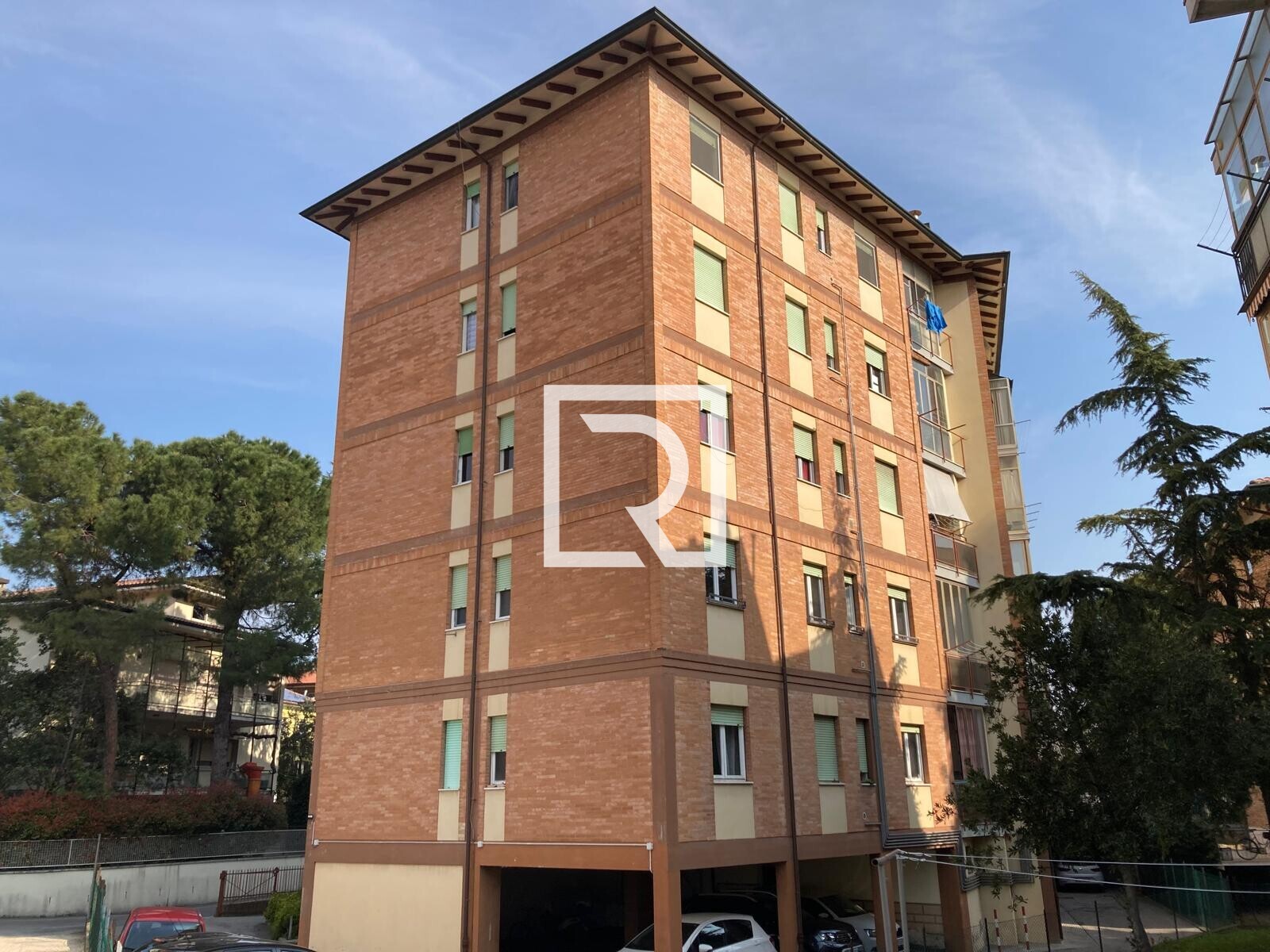 WhatsApp Image 2026-03-26 at 10.11.06