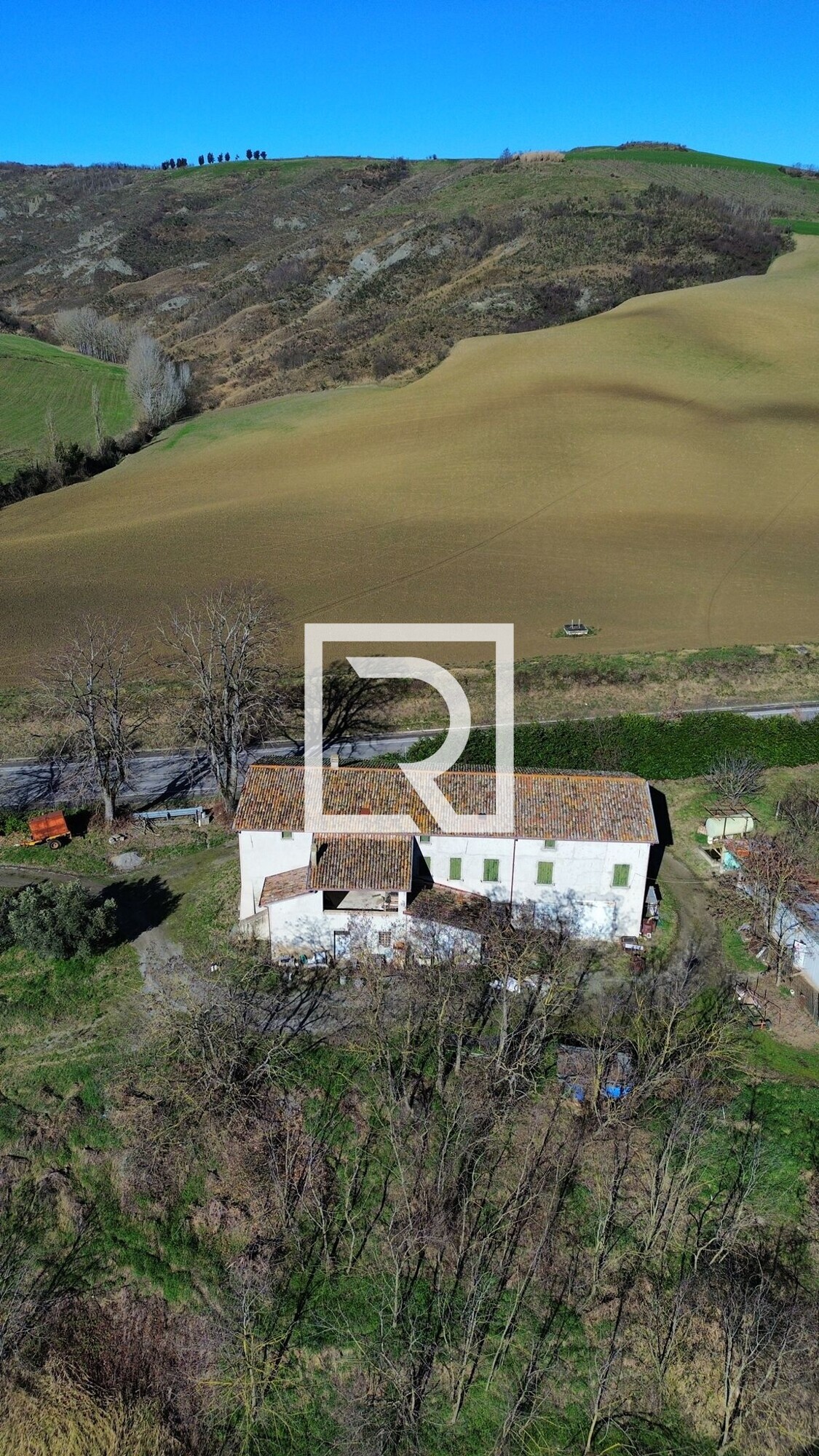 WhatsApp Image 2026-03-26 at 11.23.16