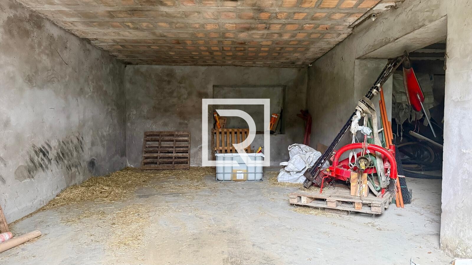 WhatsApp Image 2026-03-26 at 11.33.46