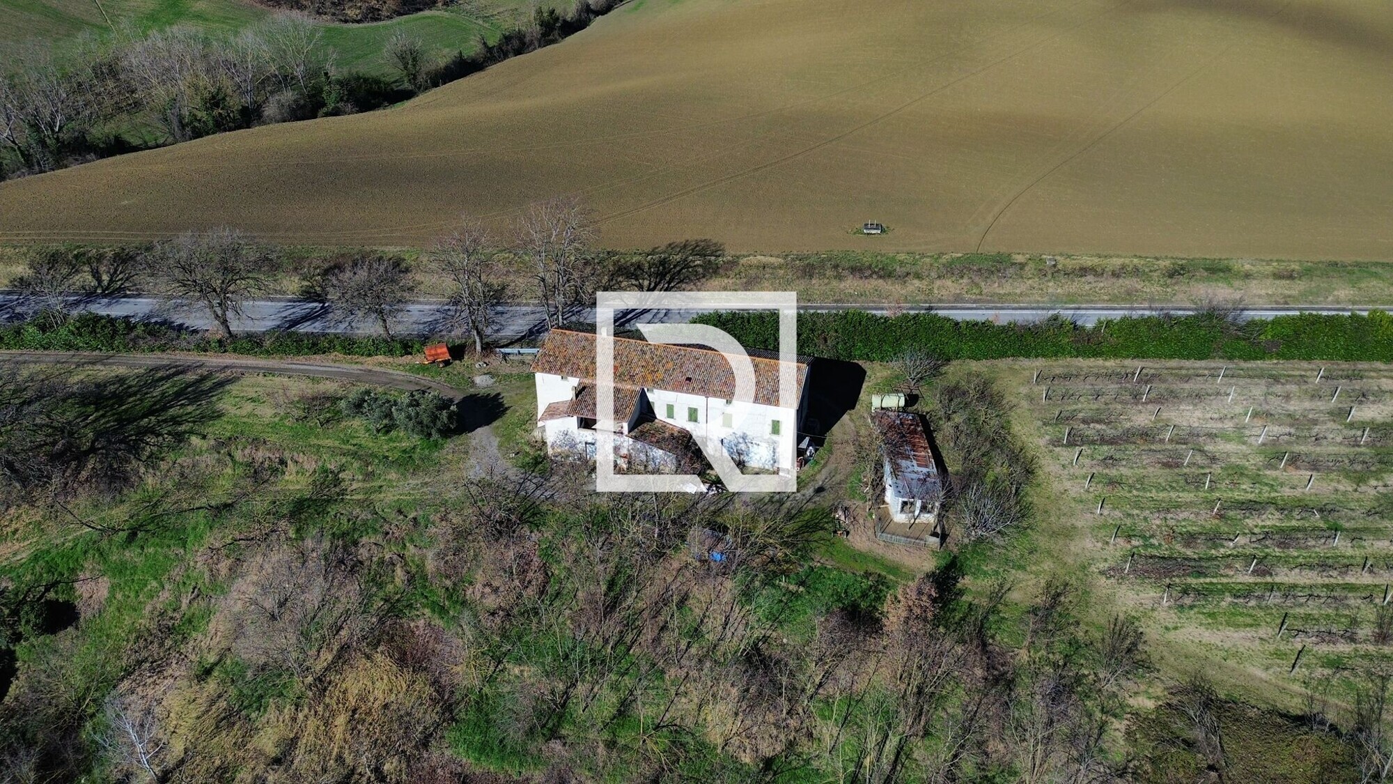 WhatsApp Image 2026-03-26 at 11.23.17