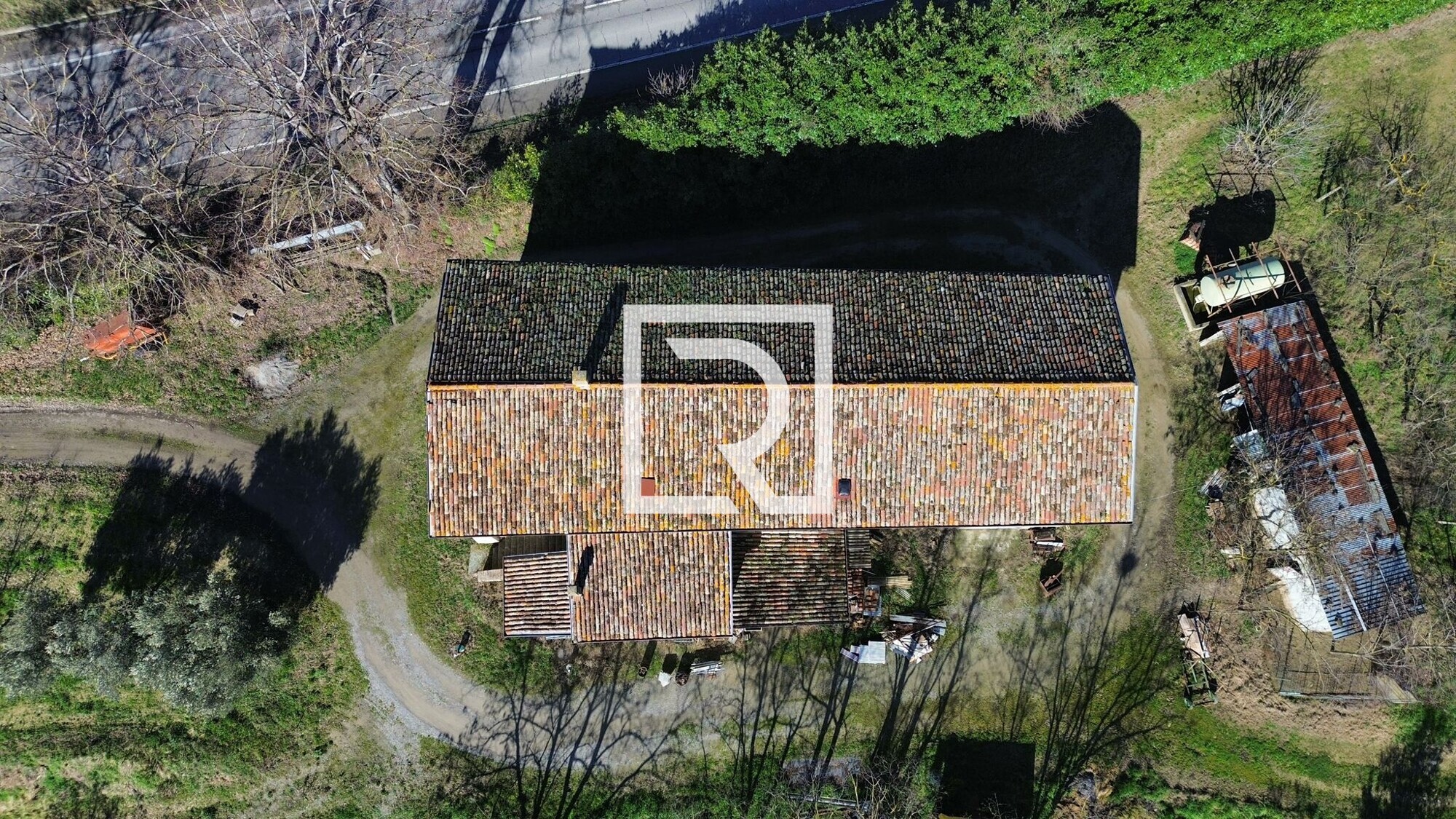 WhatsApp Image 2026-03-26 at 11.23.18