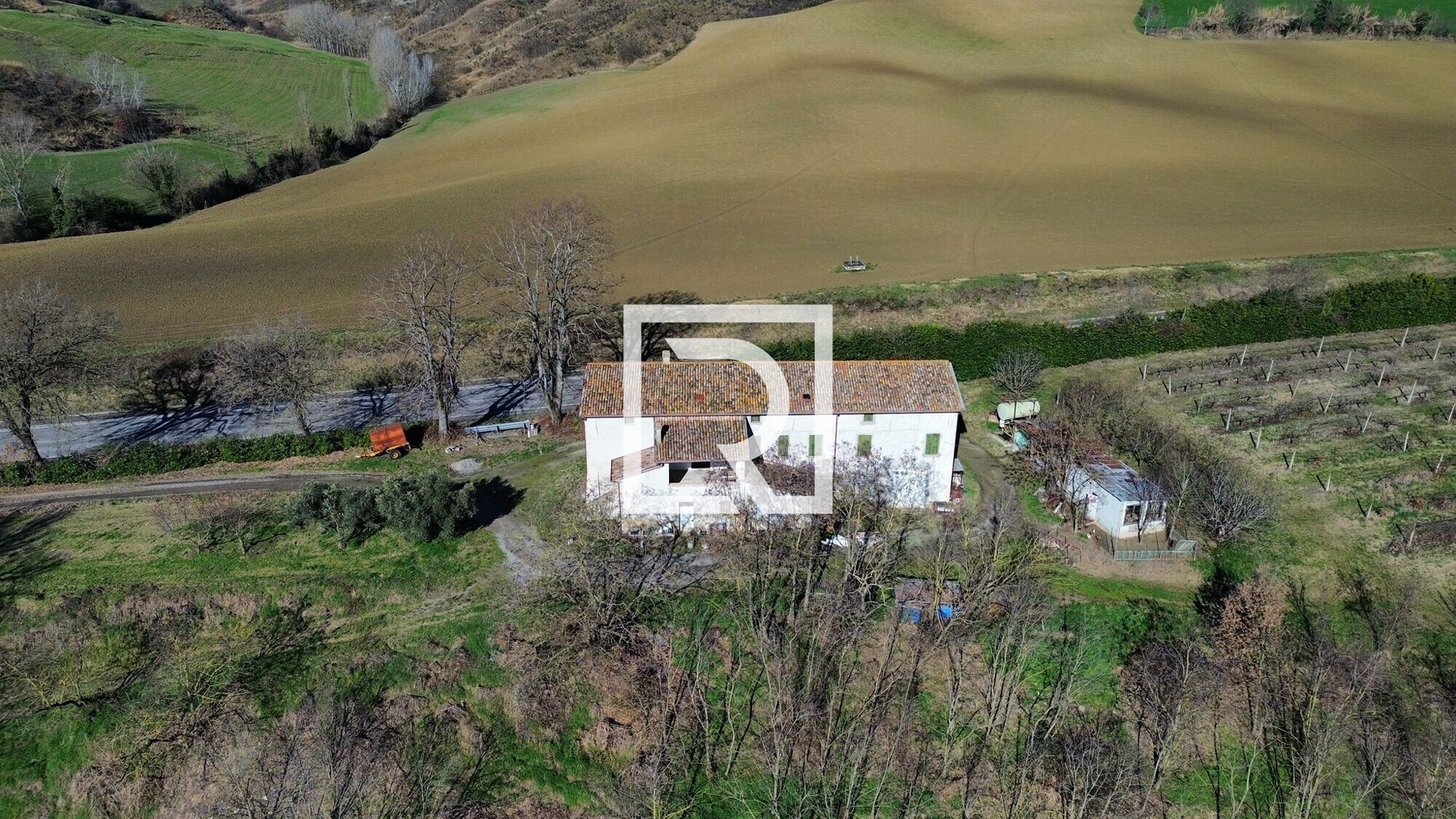 WhatsApp Image 2026-03-26 at 11.23.17 (3)