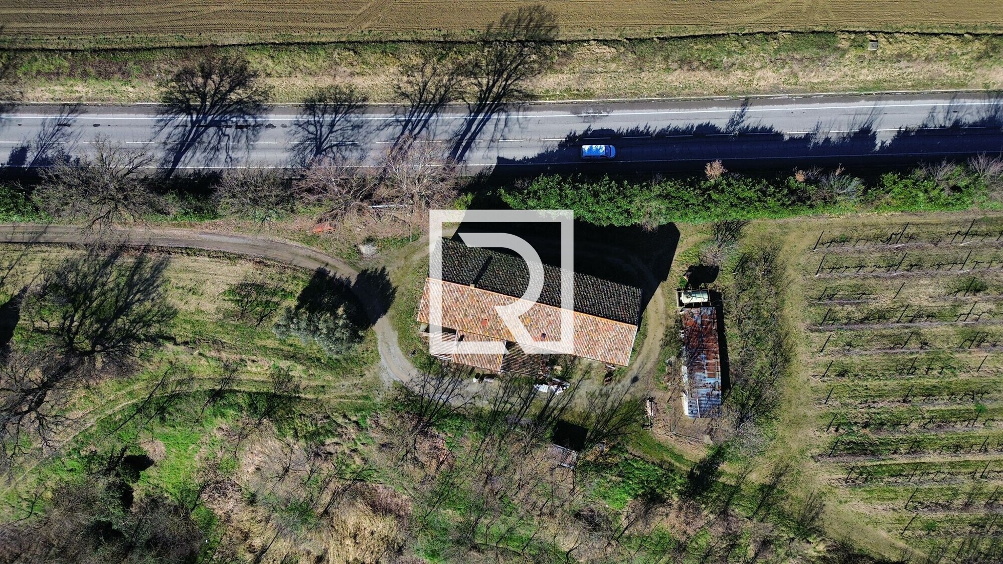 WhatsApp Image 2026-03-26 at 11.23.18 (3)