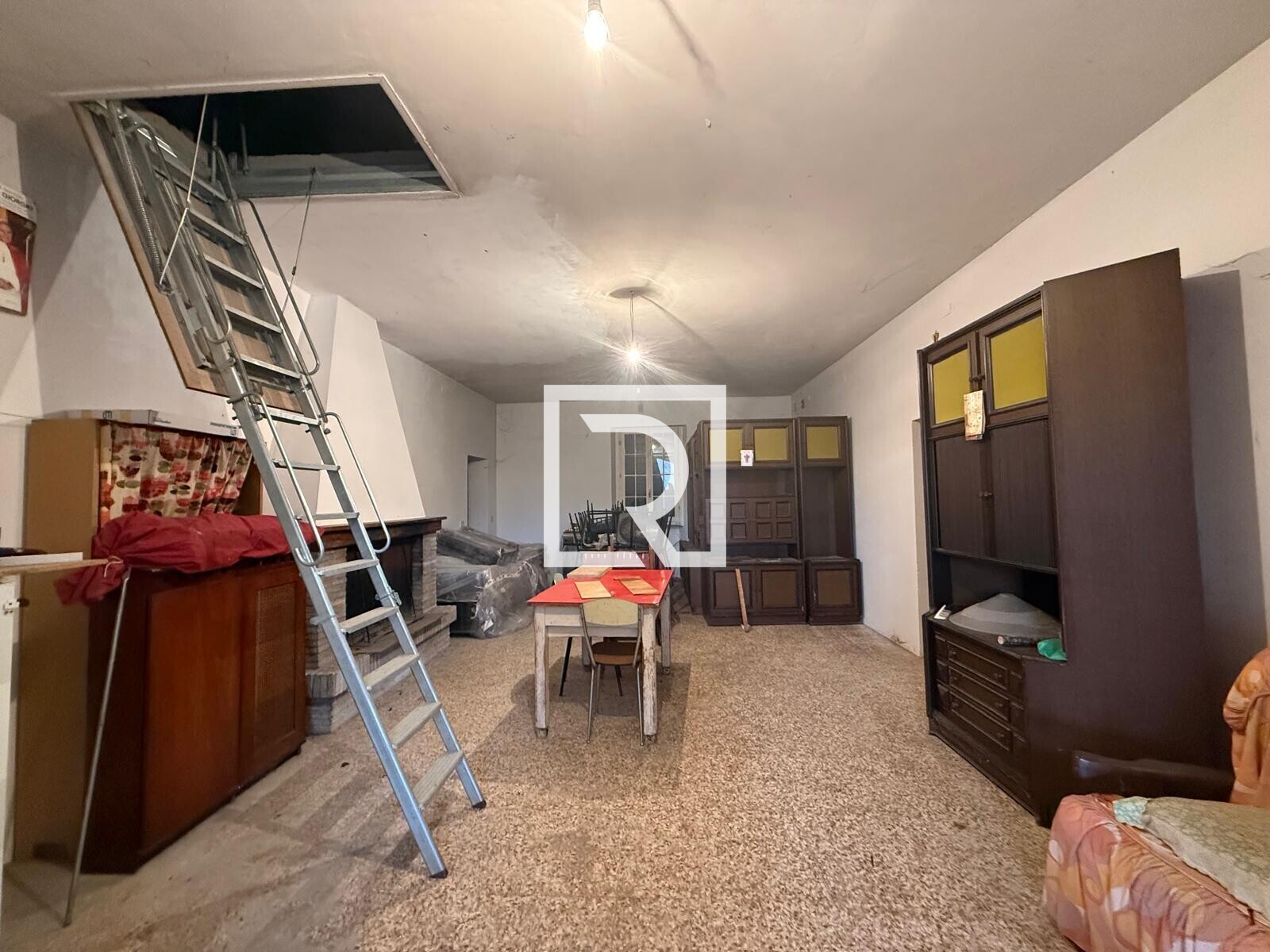 WhatsApp Image 2026-03-26 at 11.33.47