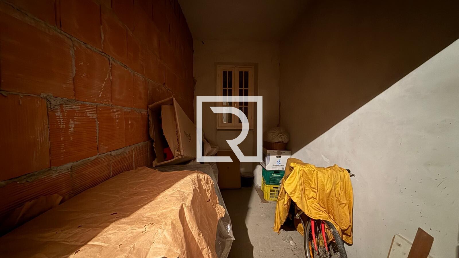 WhatsApp Image 2026-03-26 at 11.33.47 (3)