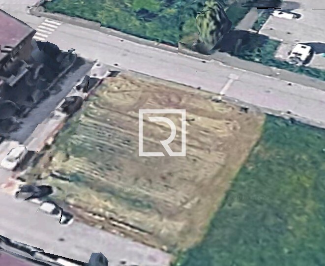 Immagine 2026-02-27 103207