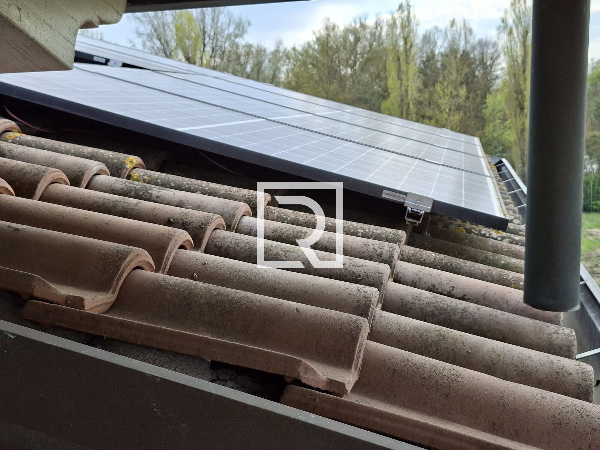 WhatsApp Image 2026-04-02 at 12.59.09 (2)