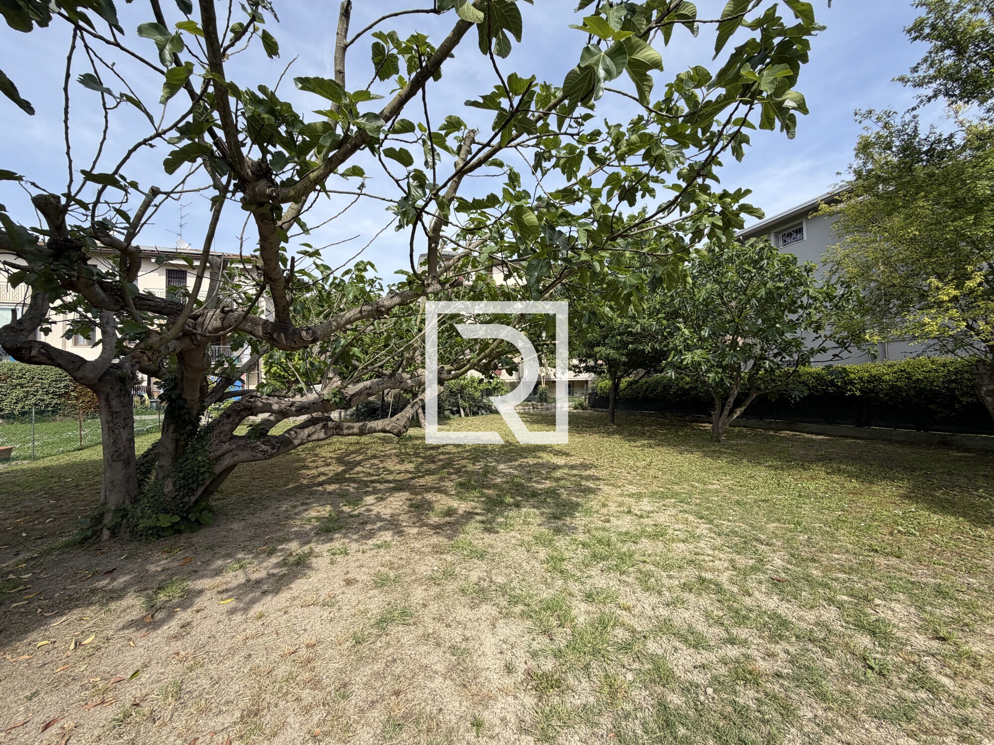 image00079