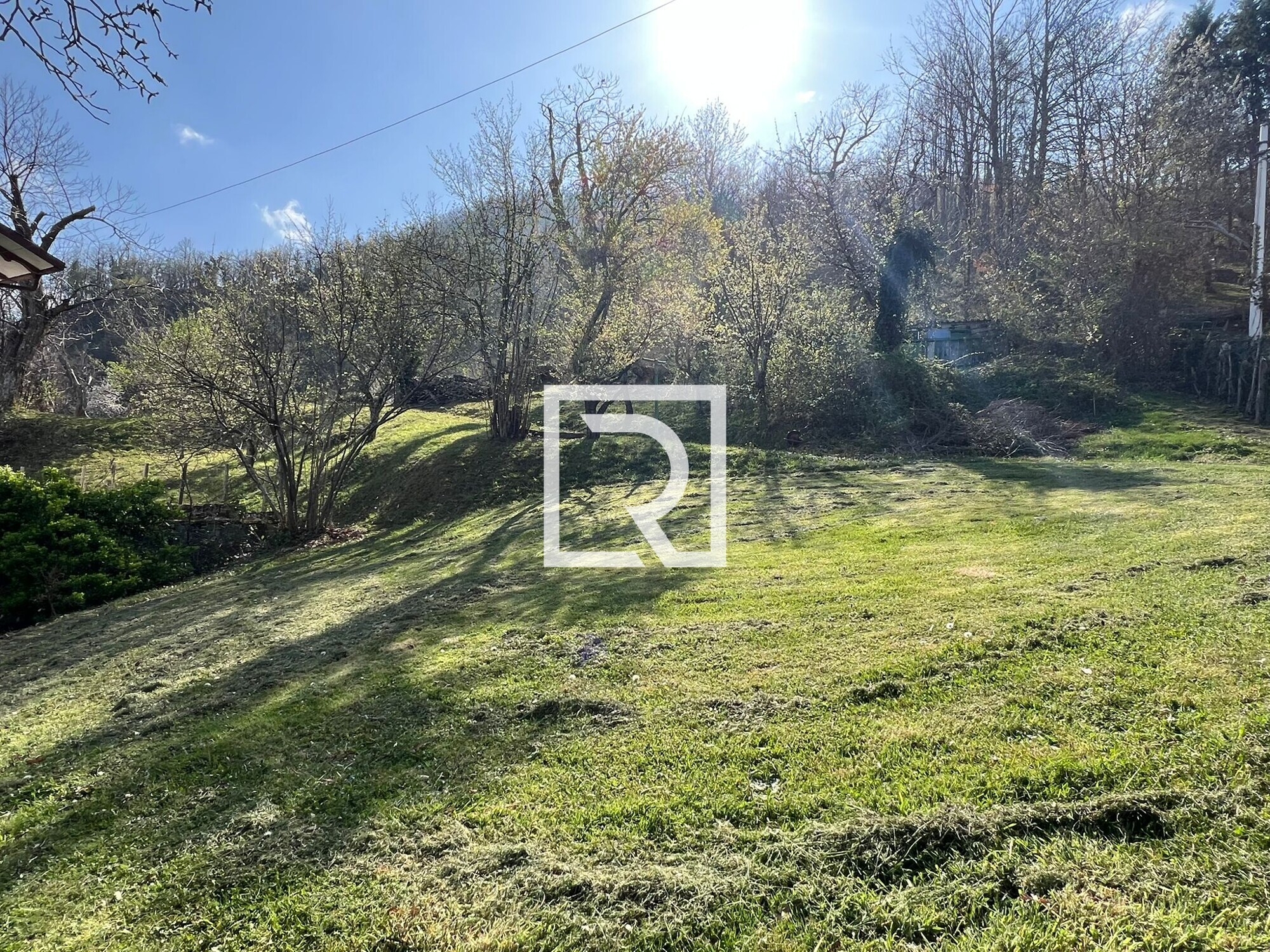 WhatsApp Image 2026-04-10 at 11.07.04