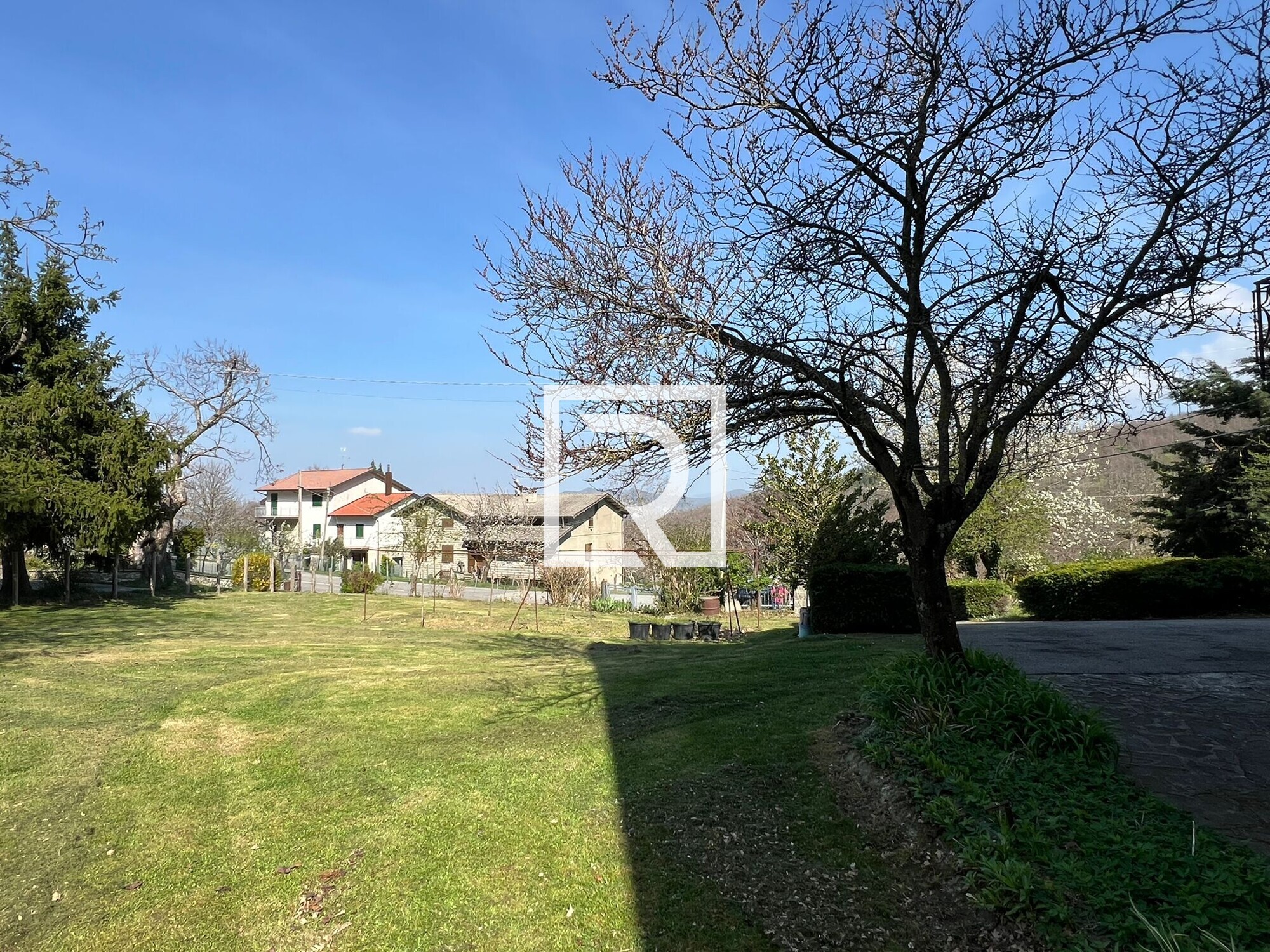 WhatsApp Image 2026-04-10 at 11.07.02