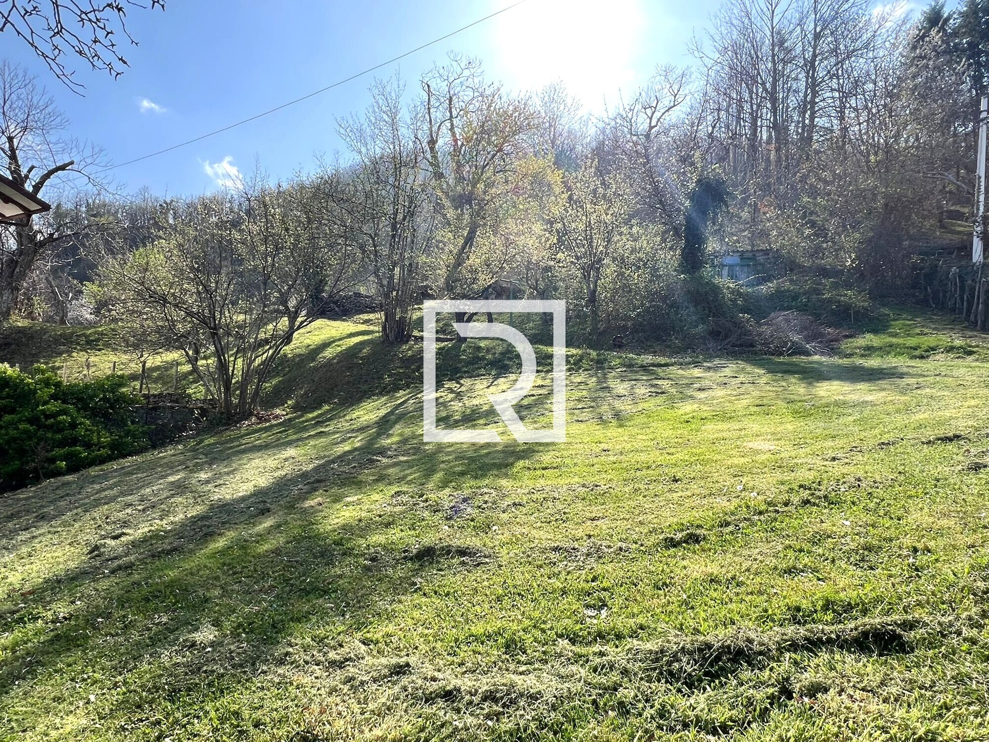 WhatsApp Image 2026-04-10 at 11.07.04 - Copia