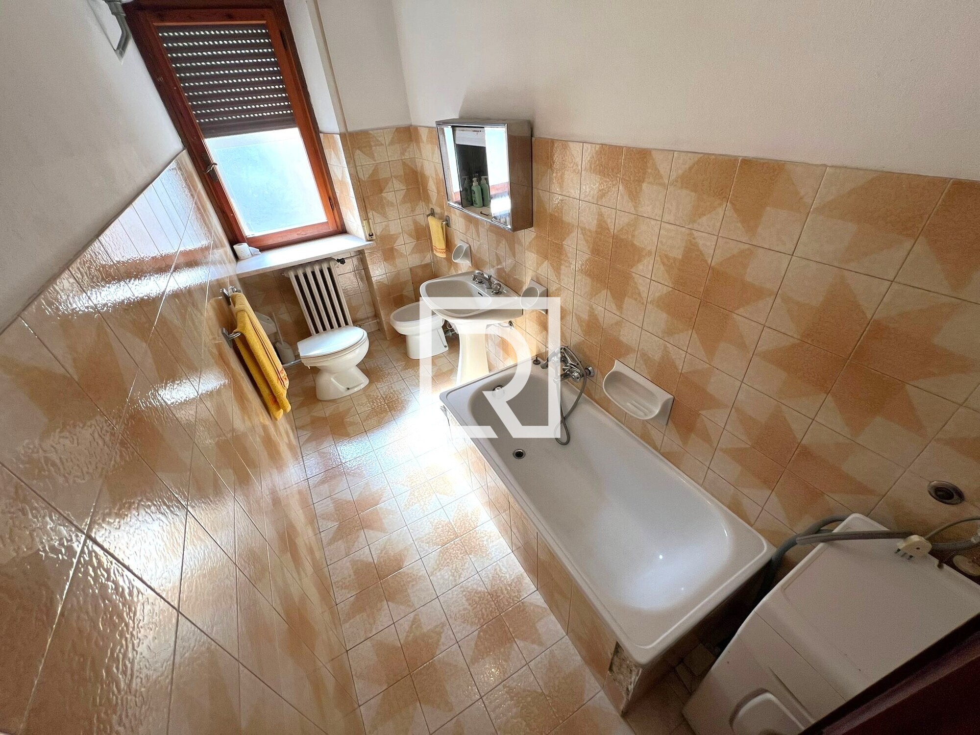 WhatsApp Image 2026-04-10 at 11.07.43 (4)