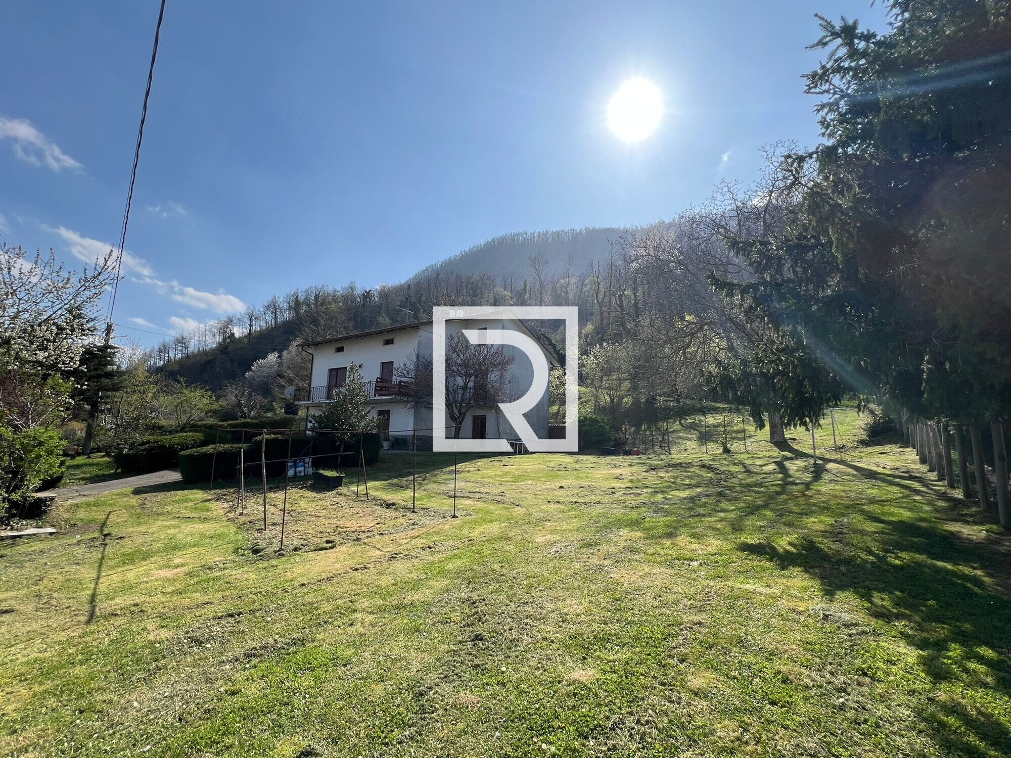 WhatsApp Image 2026-04-10 at 11.07.12 (1)